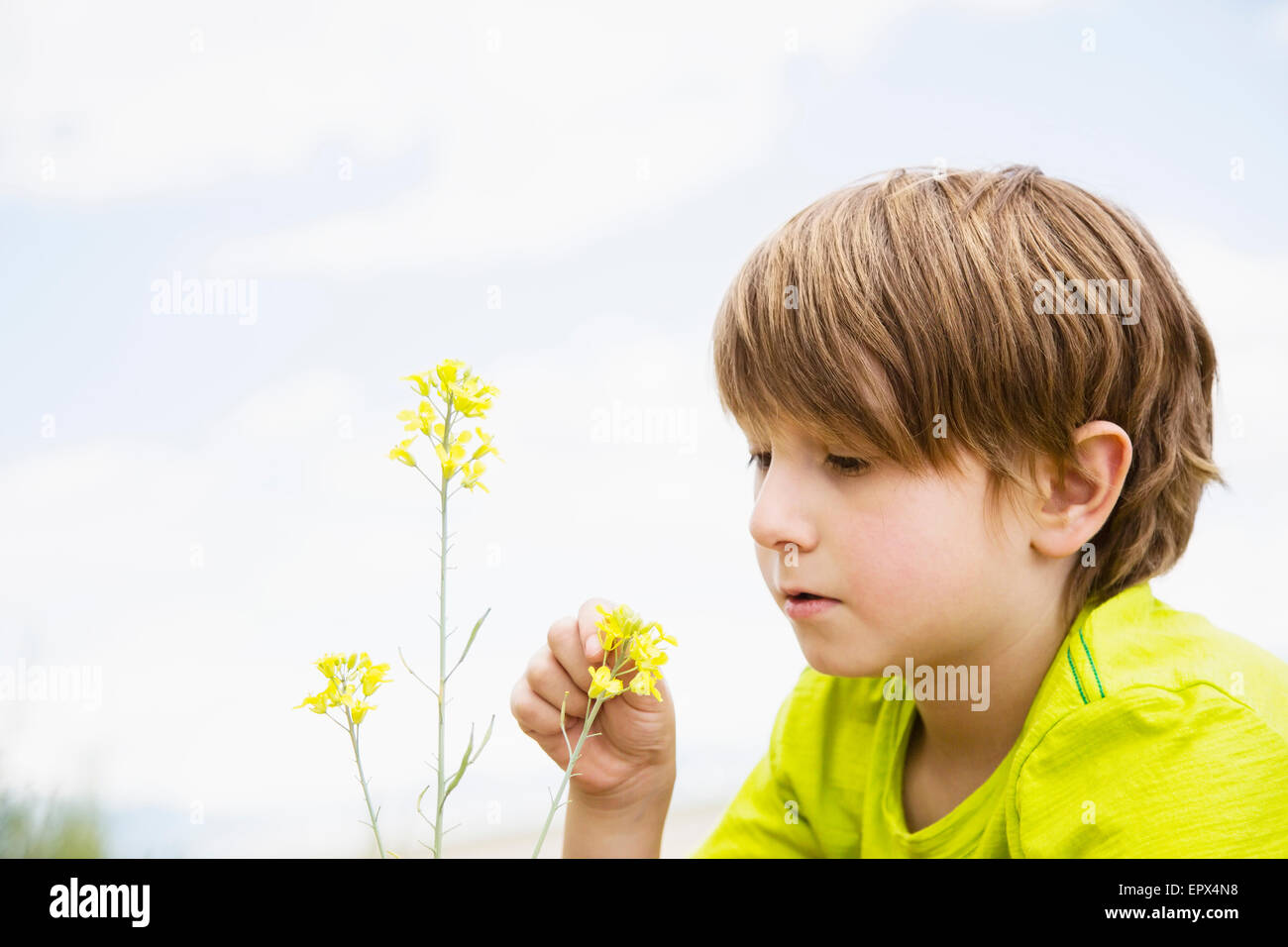 Boy (6-7) touching wildflower Stock Photo