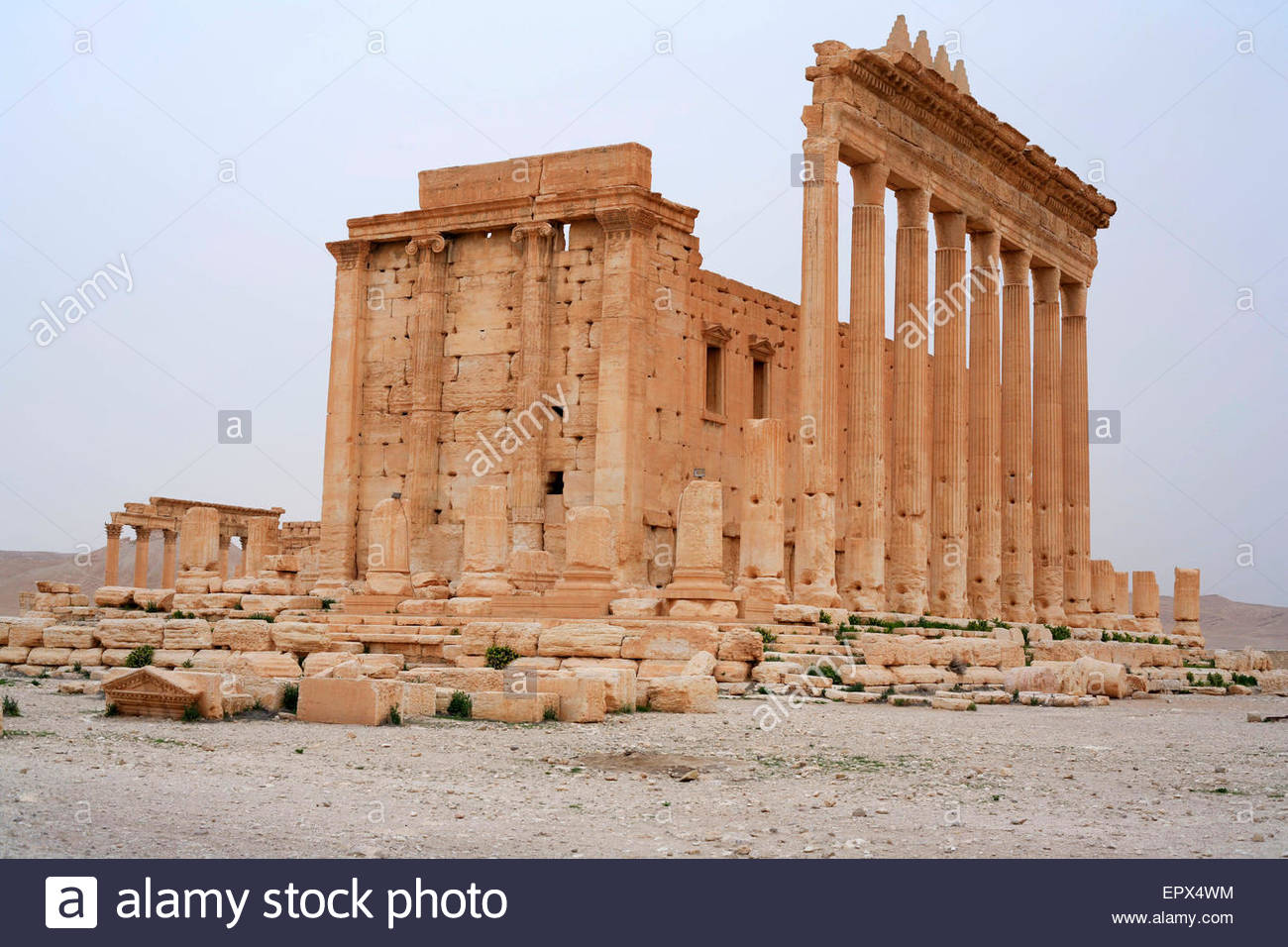 jewish singles in palmyra Start your free trial of our jewish dating site email and im free for 3 weeks. jewish singles in palmyra Start your free trial of our jewish dating site email and im free for 3 weeks.