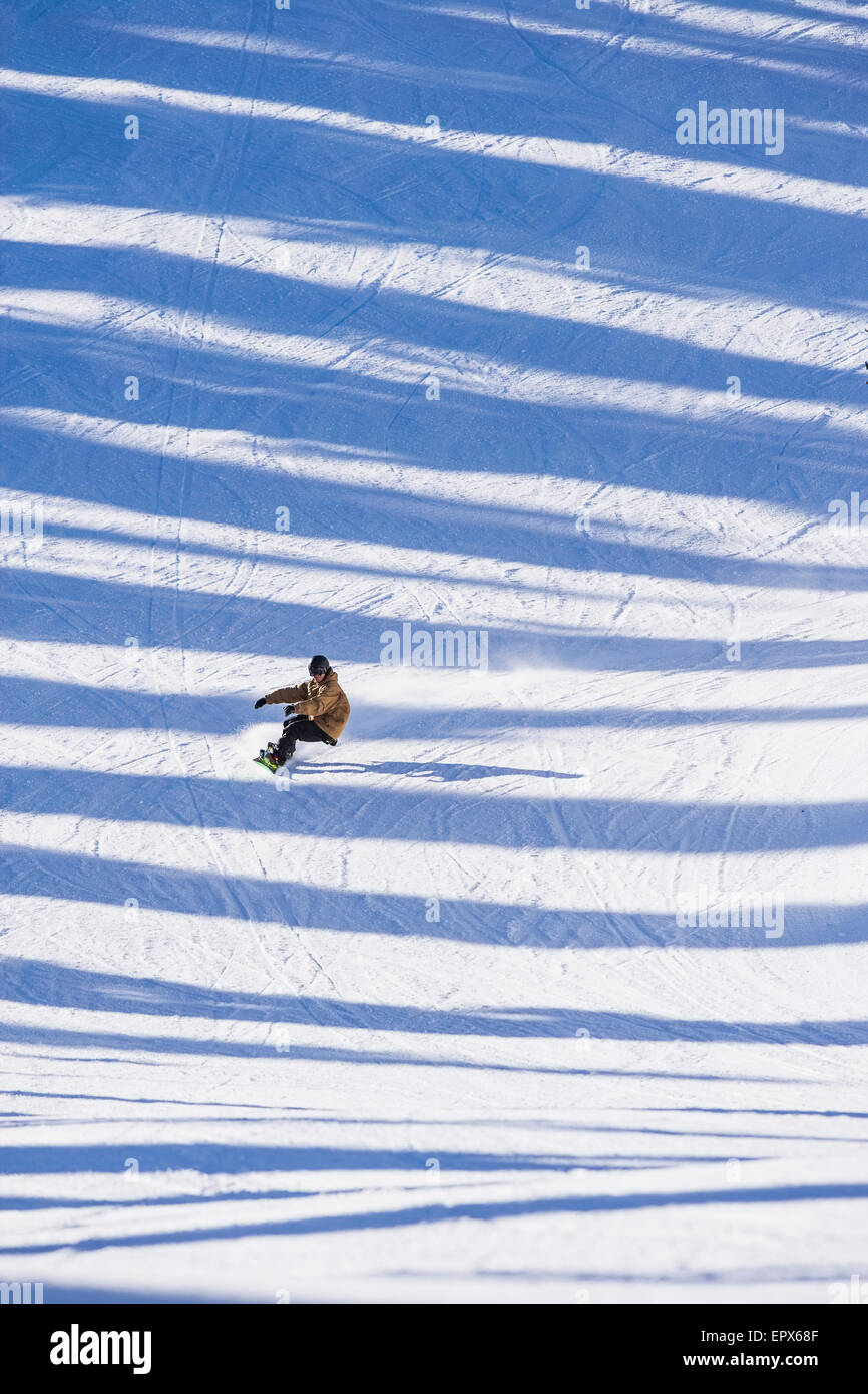 USA, Montana, Whitefish, Man snowboarding across shadows Stock Photo