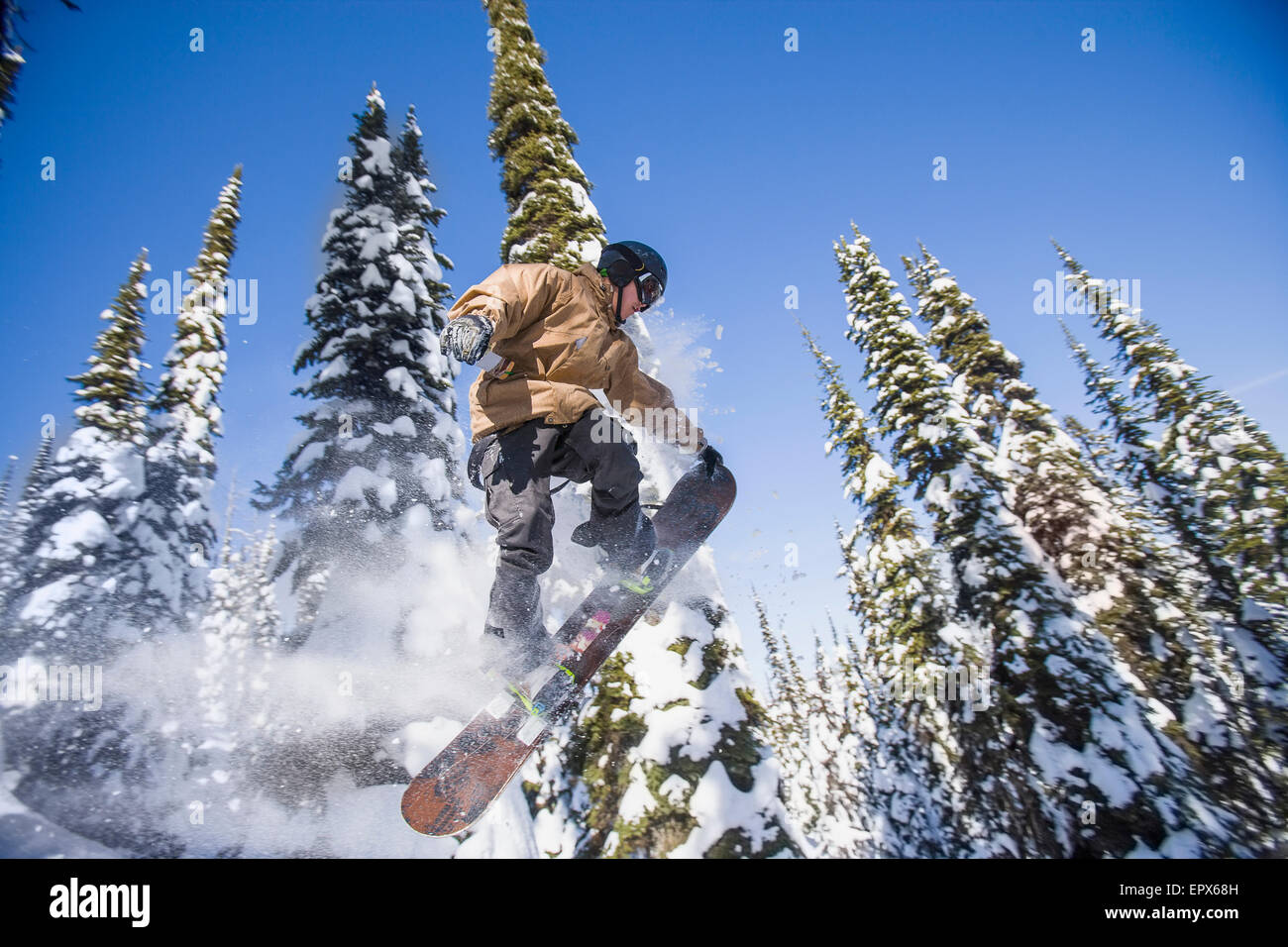 USA, Montana, Whitefish, Snowboarder in mid-air against snowy trees Stock Photo