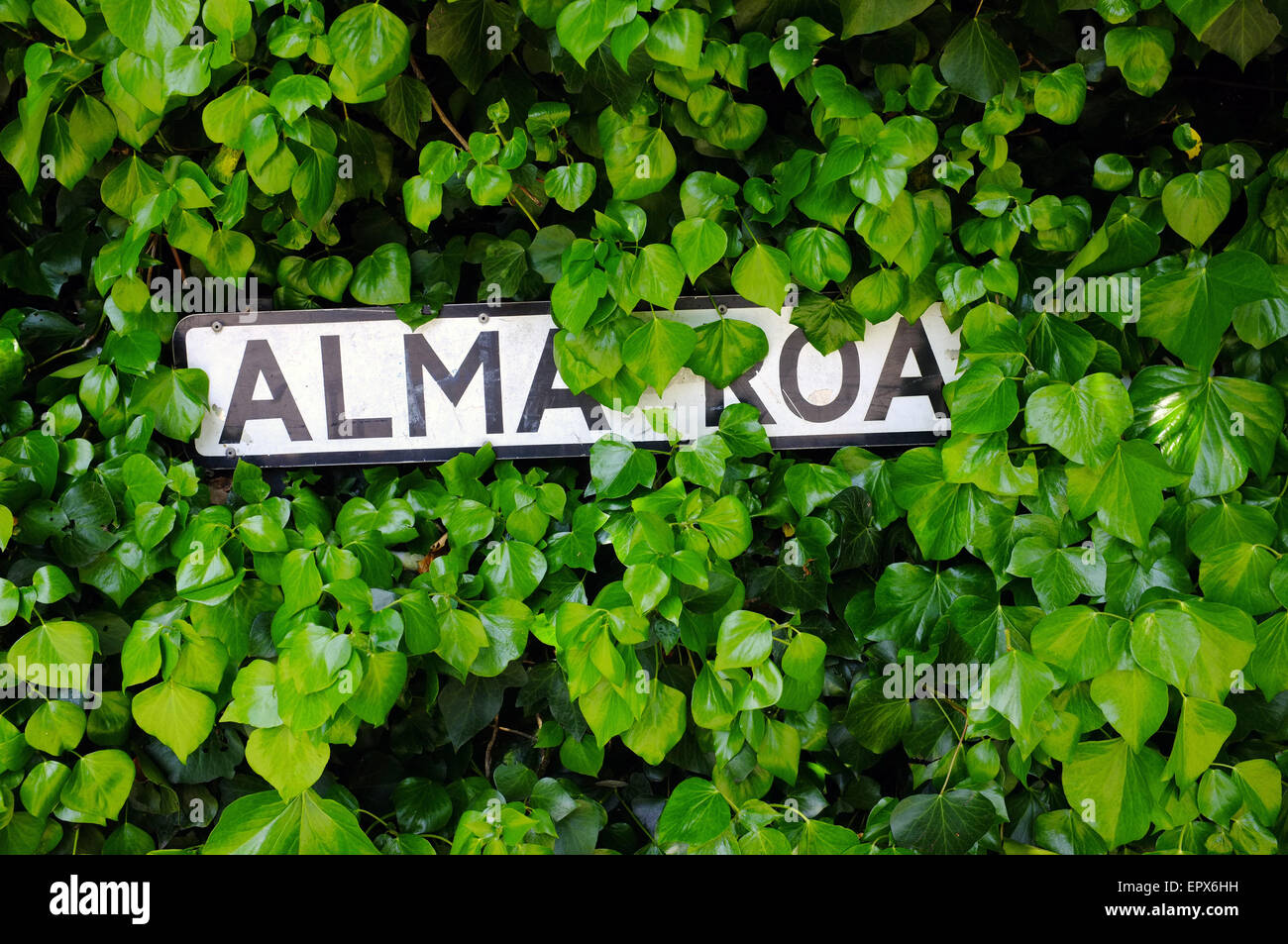 A road name sign heavily obscured by green foliage in Bristol. Stock Photo