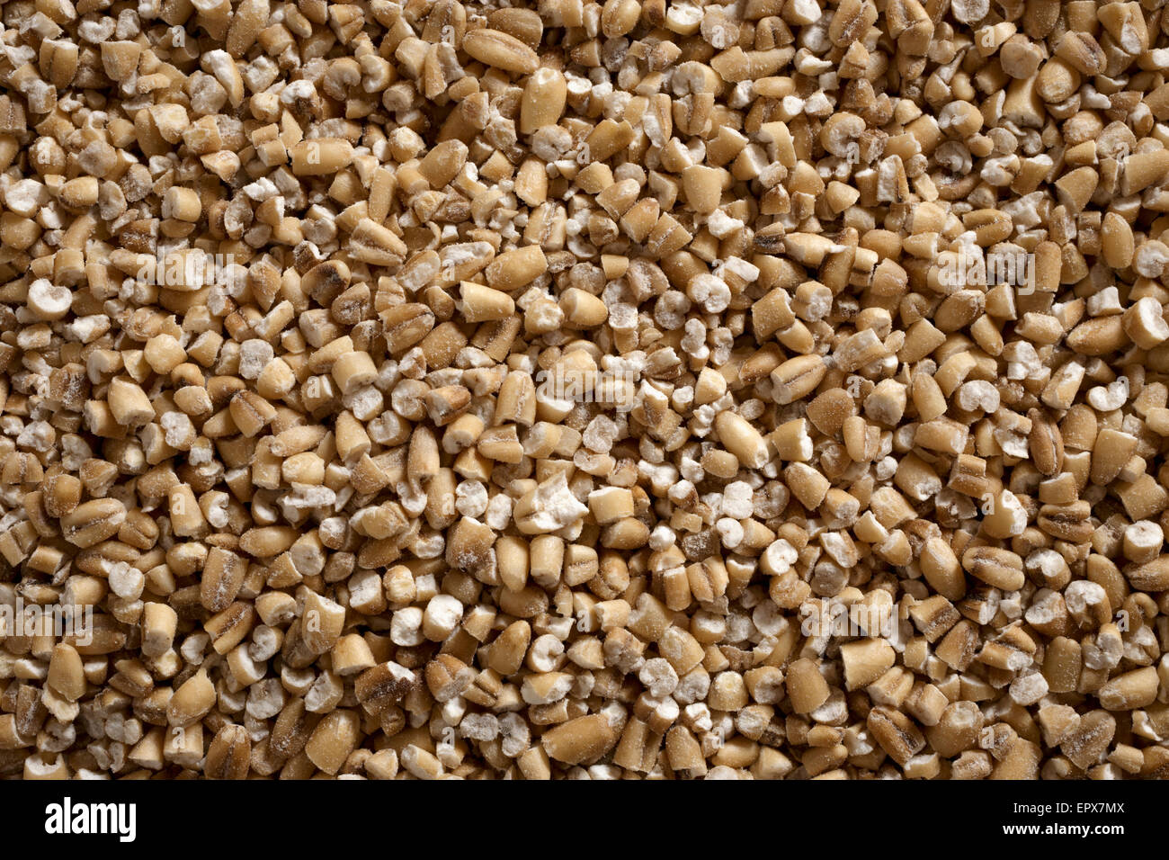 Uncooked steel cut irish oats Stock Photo