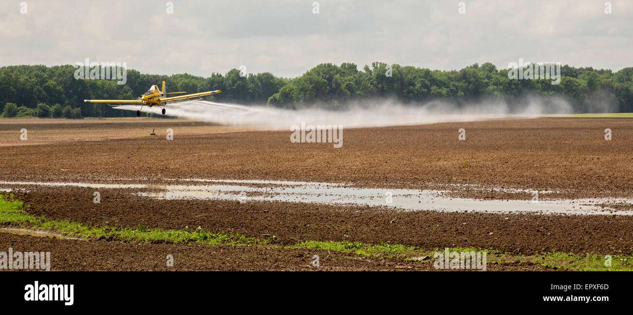 Tunica, Mississippi - An airplane applies pesticides to a field in the Mississippi Delta. Stock Photo