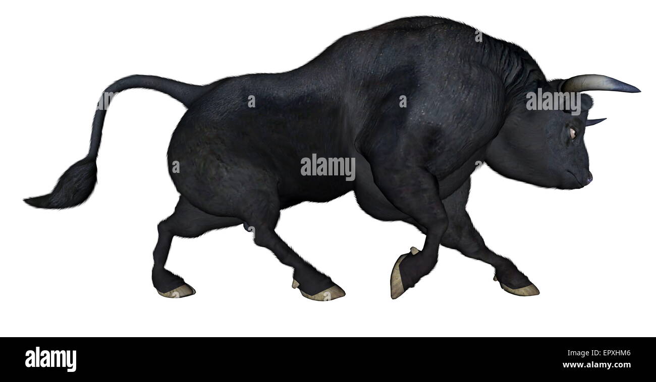 Charging bull black and white hires stock photography and images Alamy