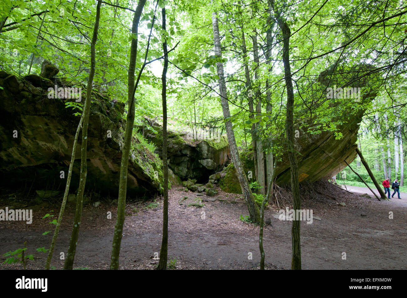 Remains of Martin Bormann bunker, Hitler's Wolf's Lair, Poland Stock Photo