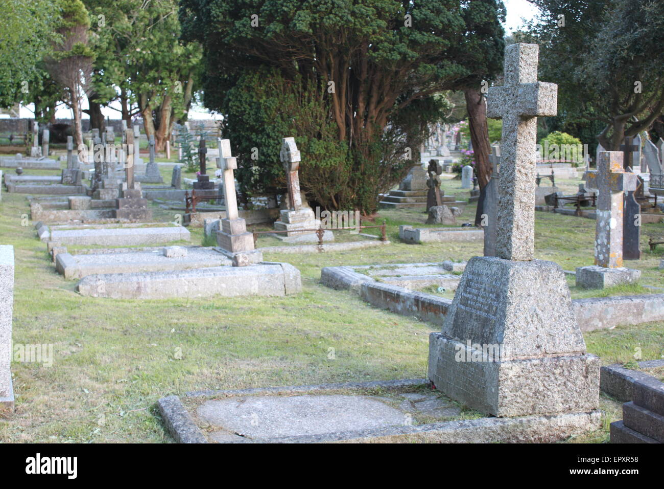 headstones and trees in penzace cemetery Stock Photo Alamy