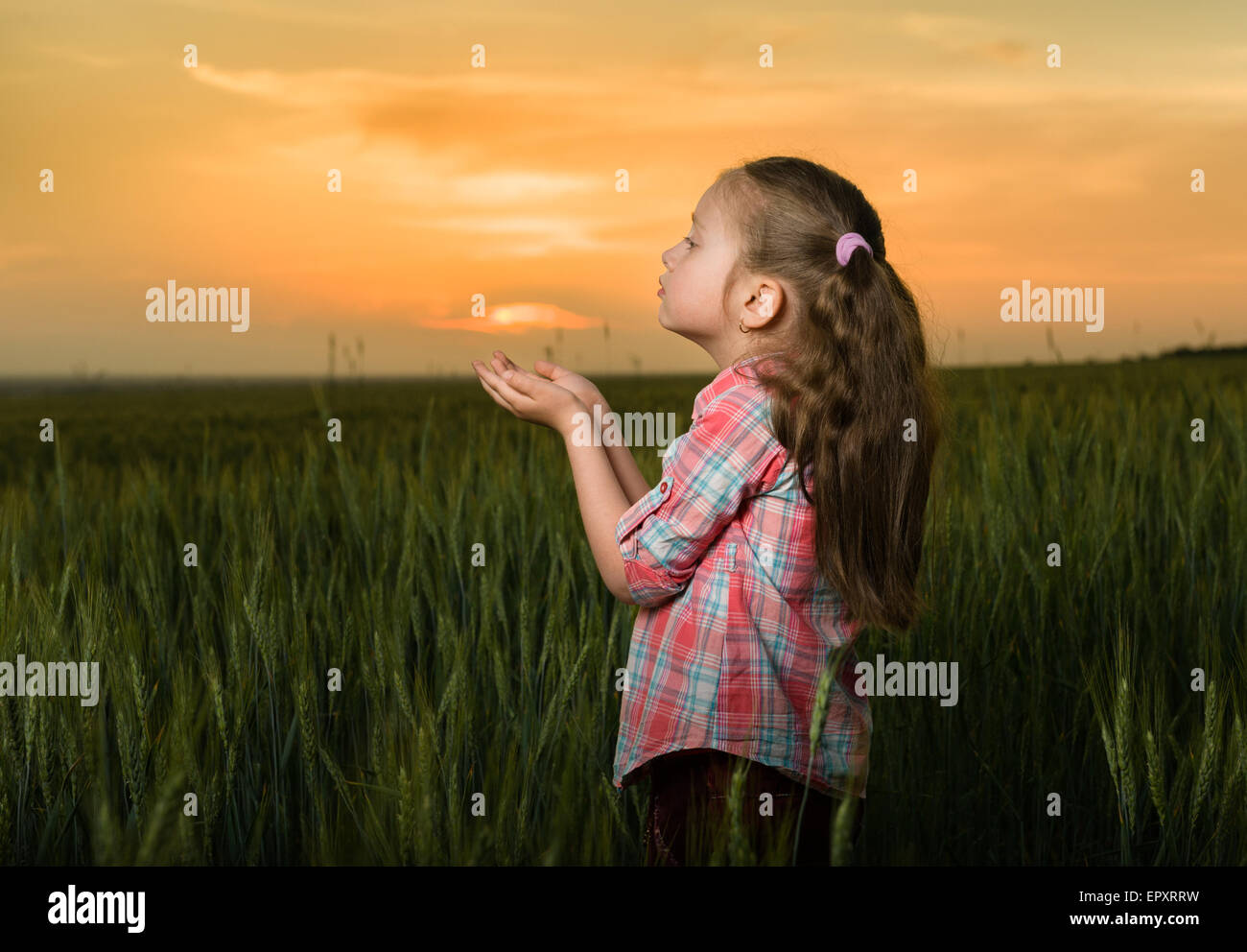 girl child portrait in the field at sunset Stock Photo - Alamy