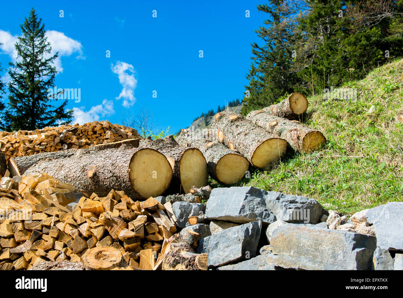 Wood And Mineral Natural Resources Stock Photo Alamy
