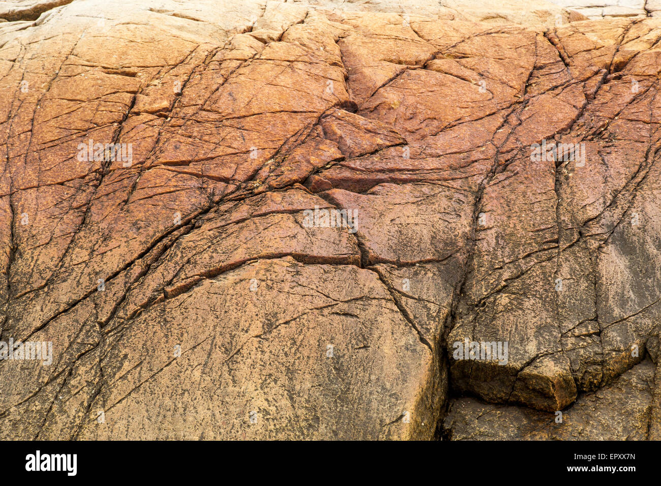 Rock surface background, Quebec, Canada Stock Photo - Alamy