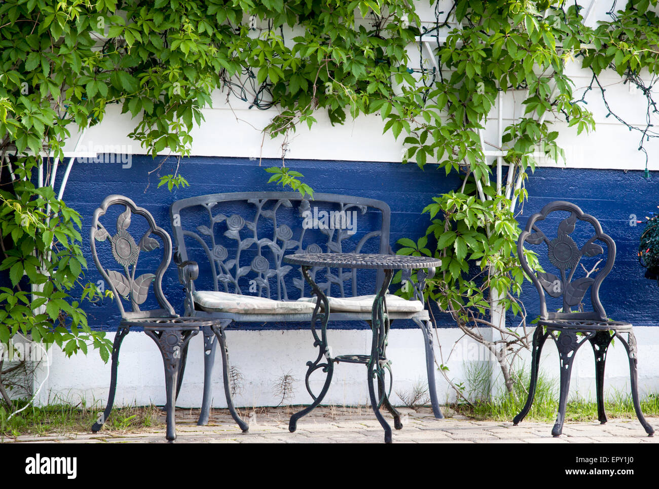 Table and chair arranged under a creeper, Quebec, Canada Stock Photo