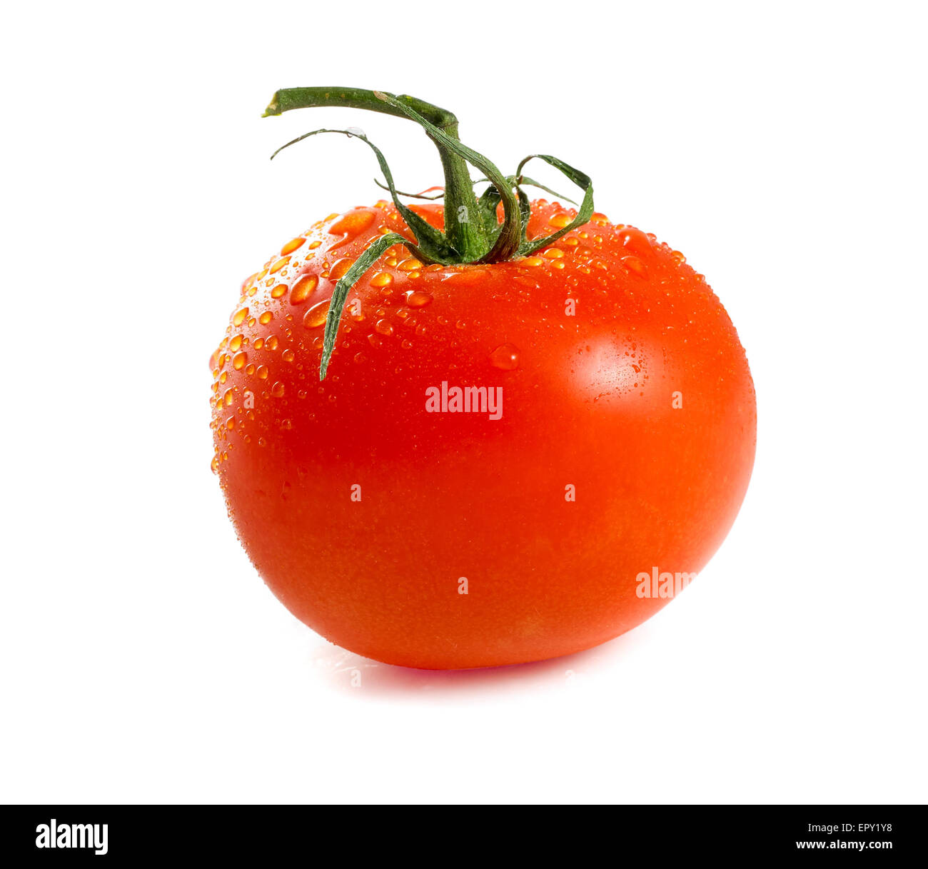 tomato isolated on a white background Stock Photo - Alamy