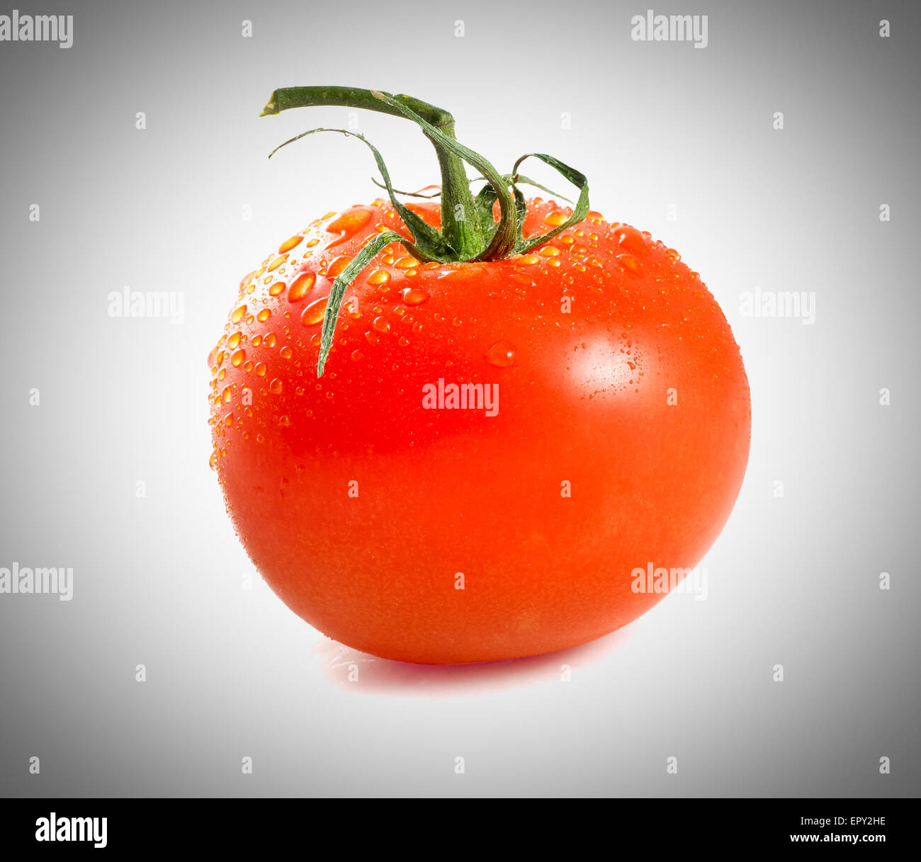 tomato isolated on a white background Stock Photo - Alamy