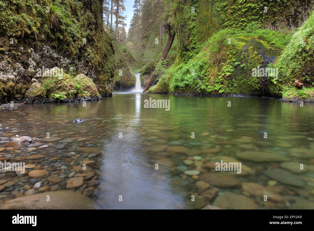 Punch Bowl Falls at Eagle Creek Trails in Columbia River Gorge National Scenic Forest Stock Photo