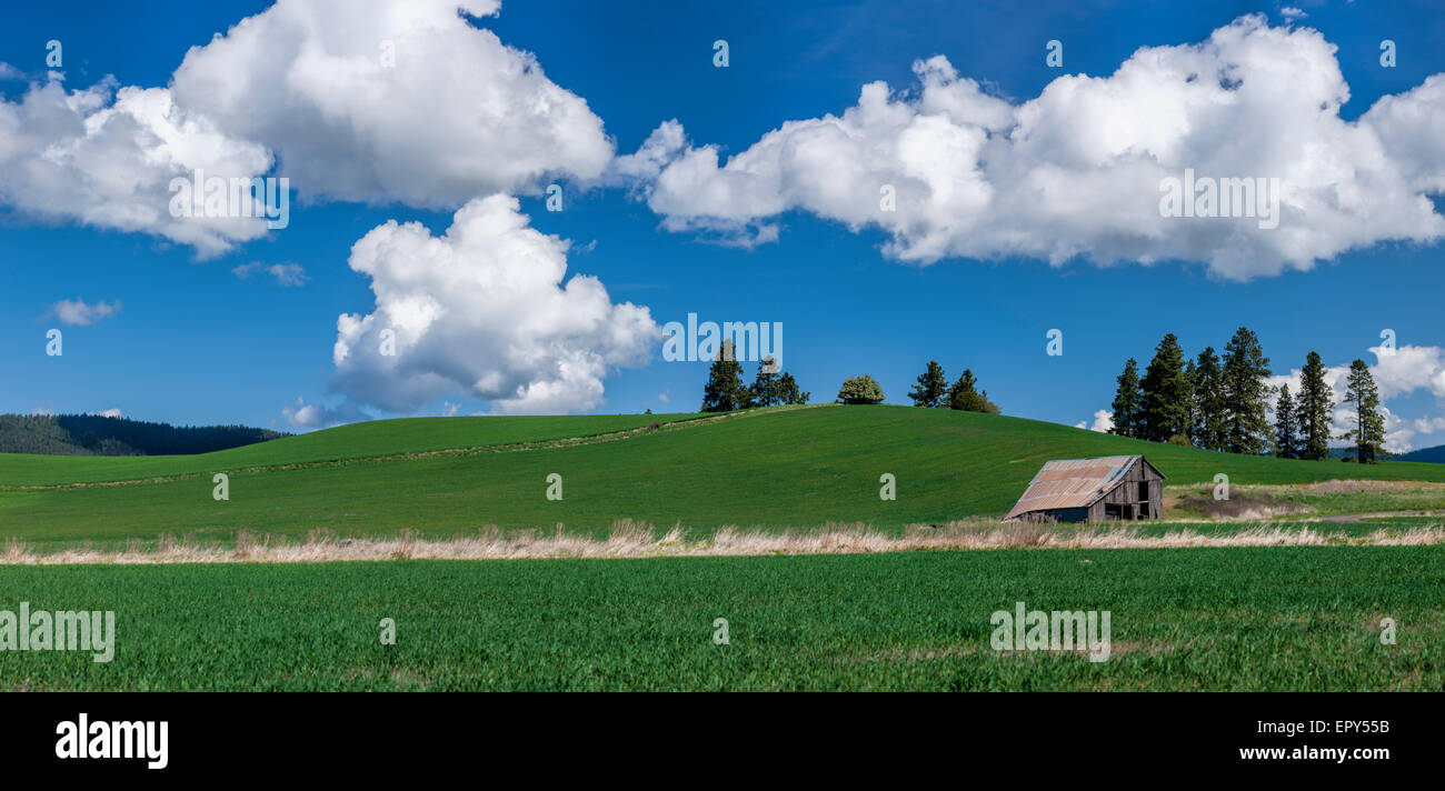 Rural North Idaho panoramic Stock Photo Alamy