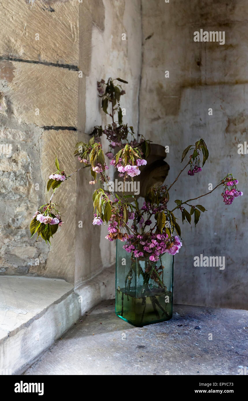 A bunch of dying flowers in a glass vase Stock Photo Alamy