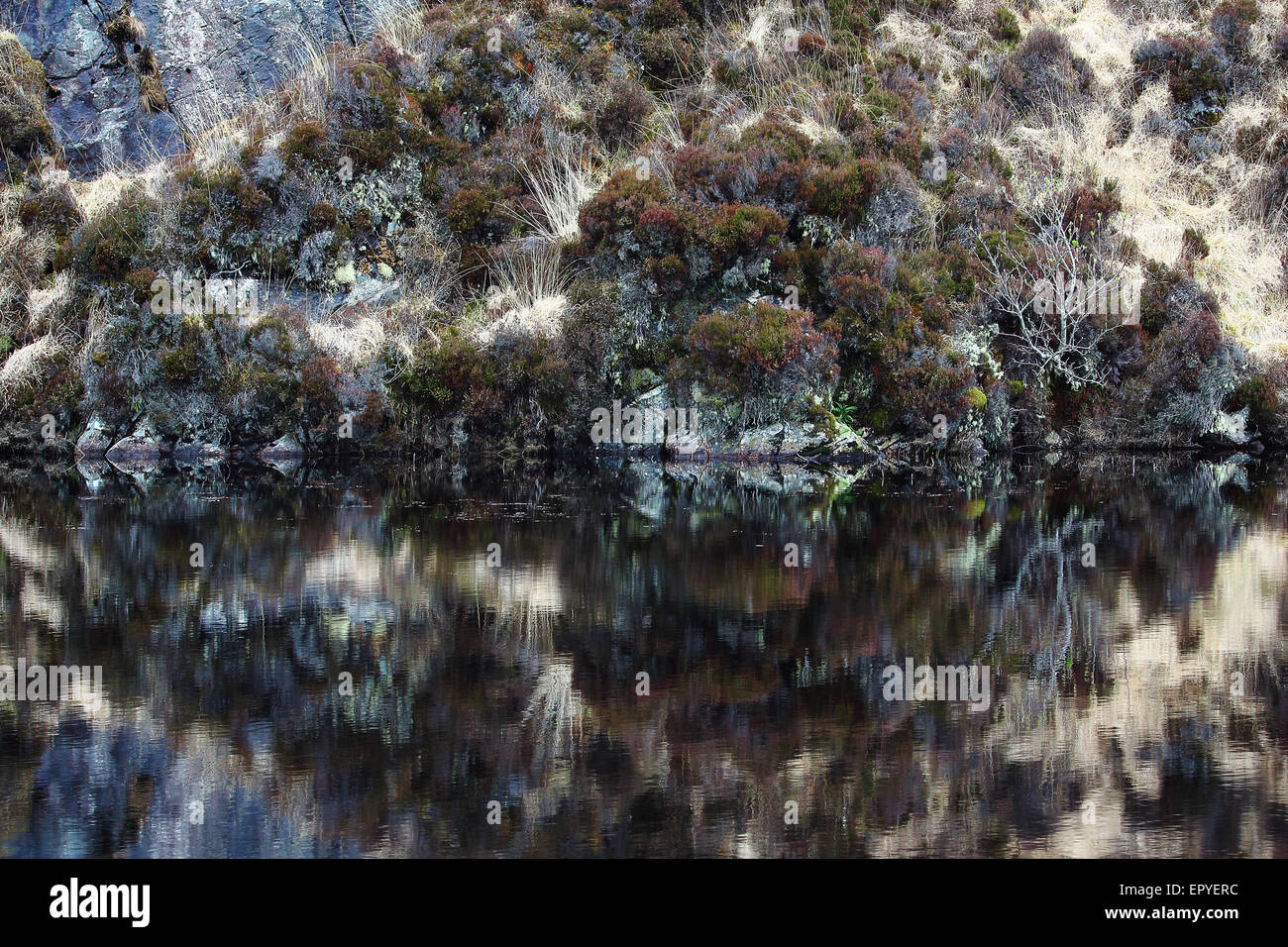 Rock reflections, Harris Island, Outer Hebrides, Scotland, United Kingdom Stock Photo