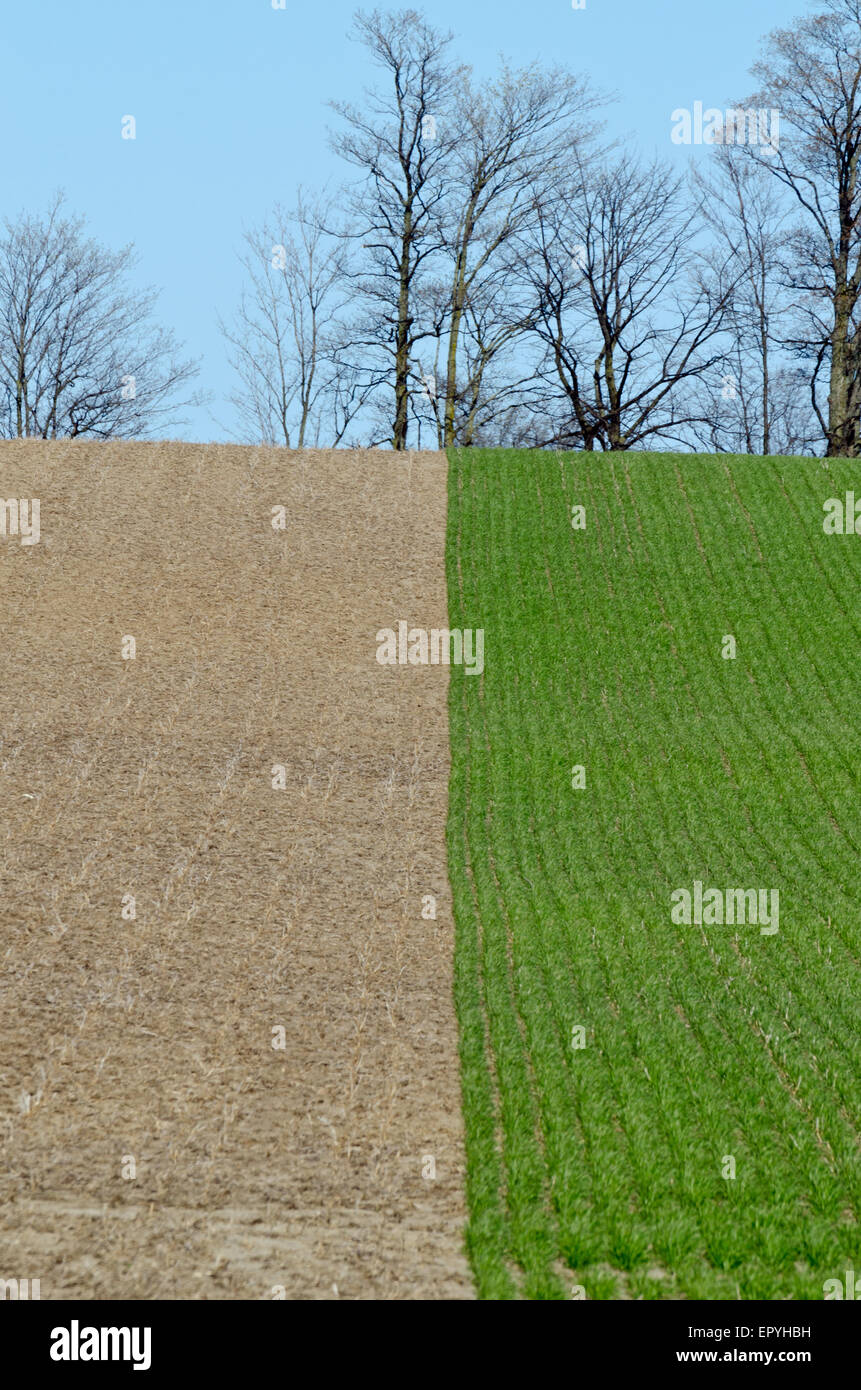 Cultivated farm land hi-res stock photography and images - Alamy