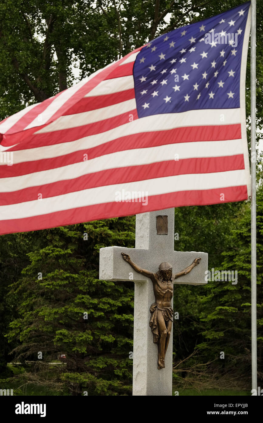 Salix iowa hires stock photography and images Alamy