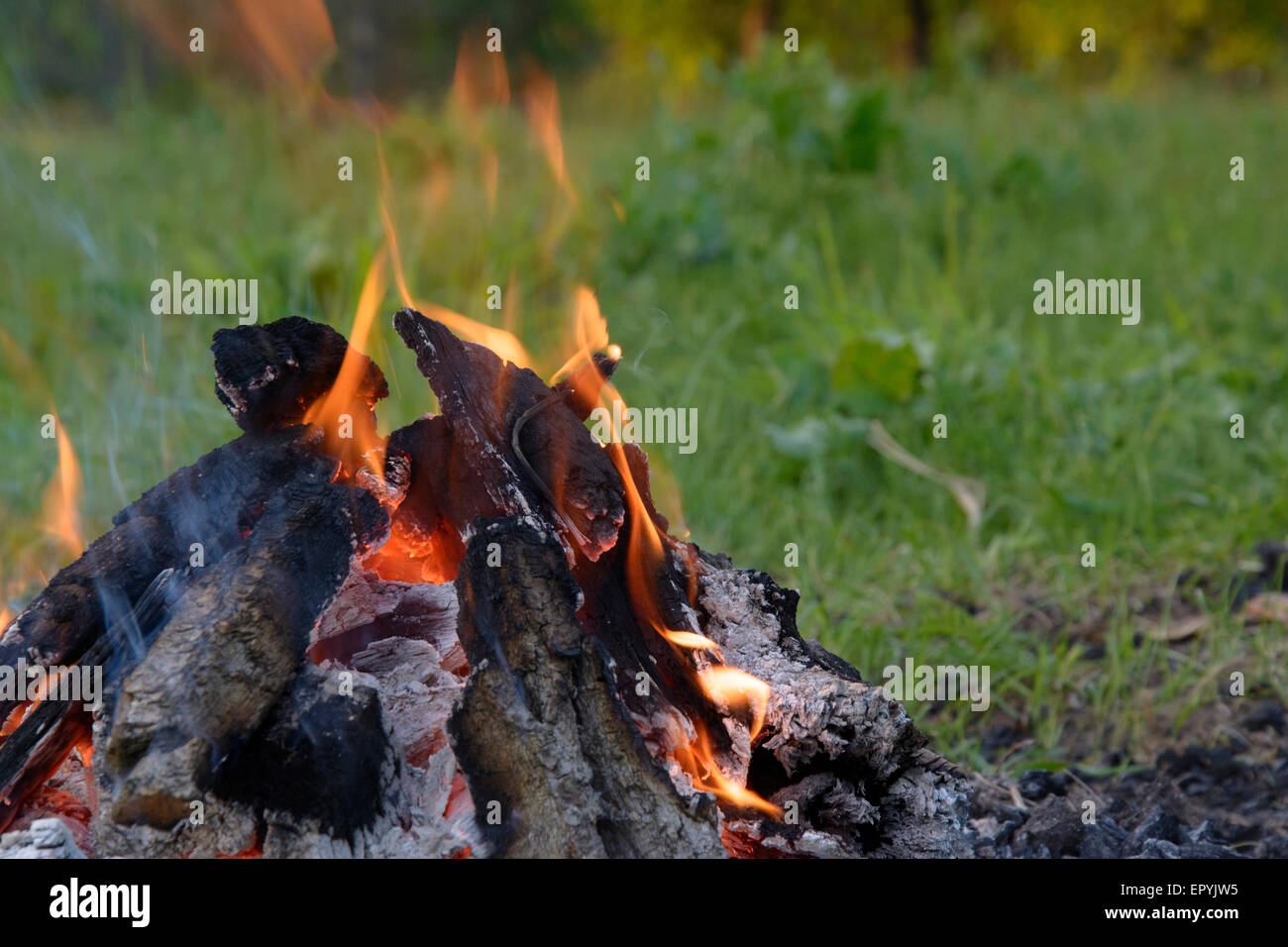 Campfire in the parking lot in the forest at rest Stock Photo - Alamy