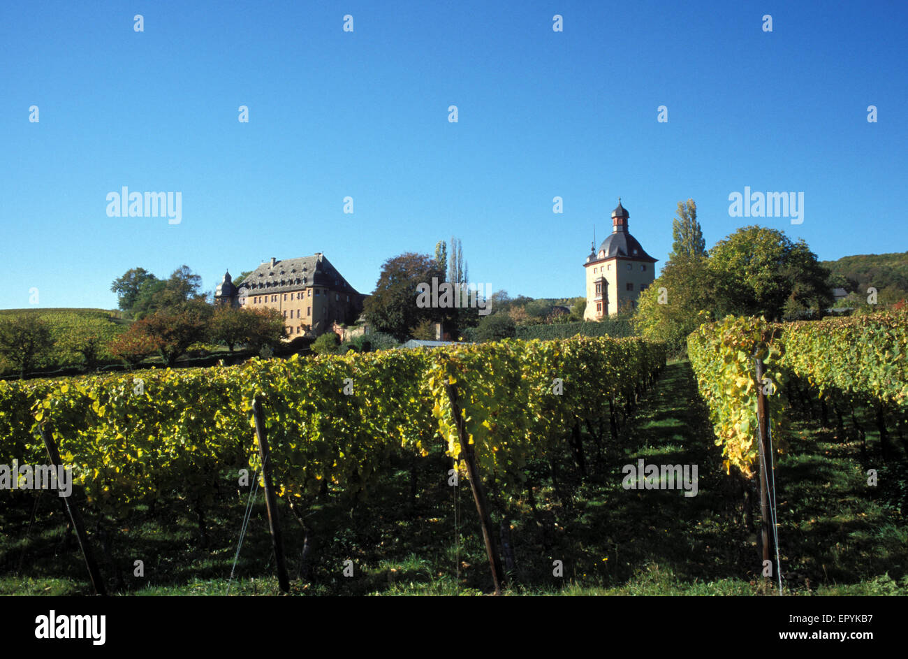 DEU, Germany, Rheingau, castle Vollrads in Oestrich-Winkel.  DEU, Deutschland, Rheingau, Schloss Vollrads in Oestrich-Winkel. Stock Photo