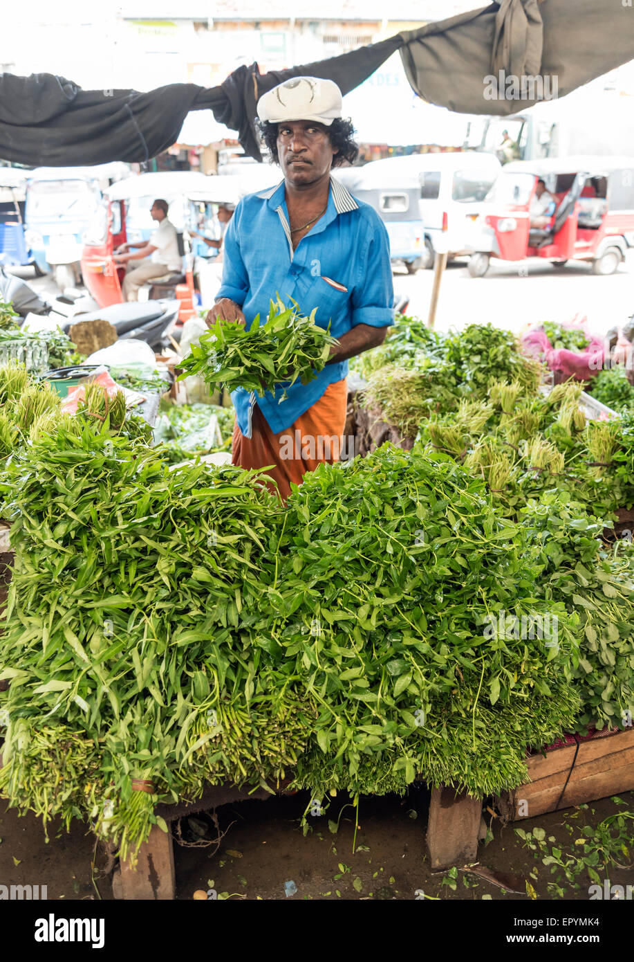 Vendor of Fresh Vegetables at Federation of Self Employees Market, Pettah, Colombo, Sri Lanka Stock Photo
