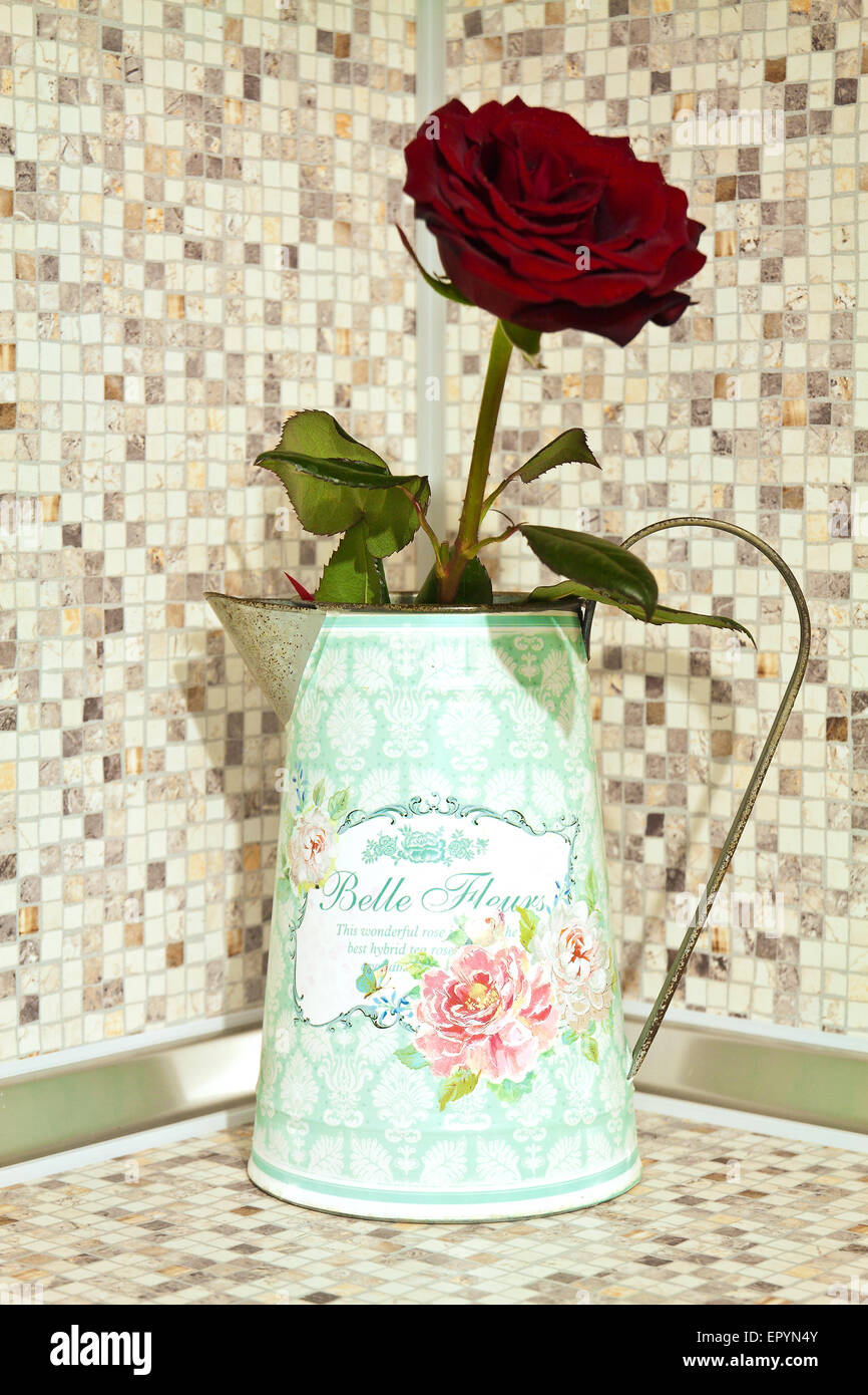 Red Rose in a tin watering can for home decoration Stock Photo