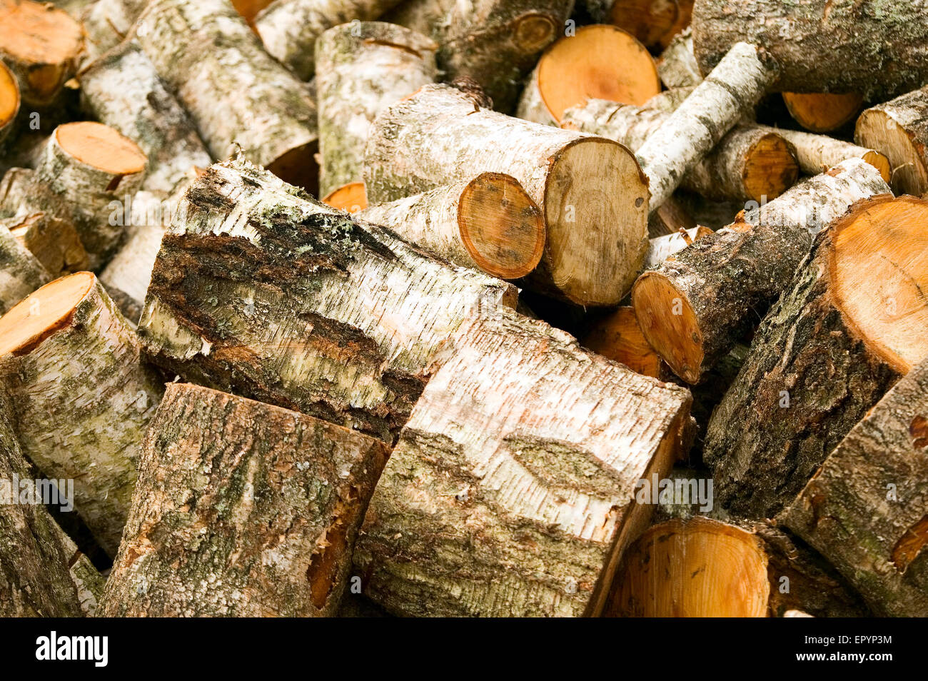 Texture made from wooden cut firewood, background Stock Photo