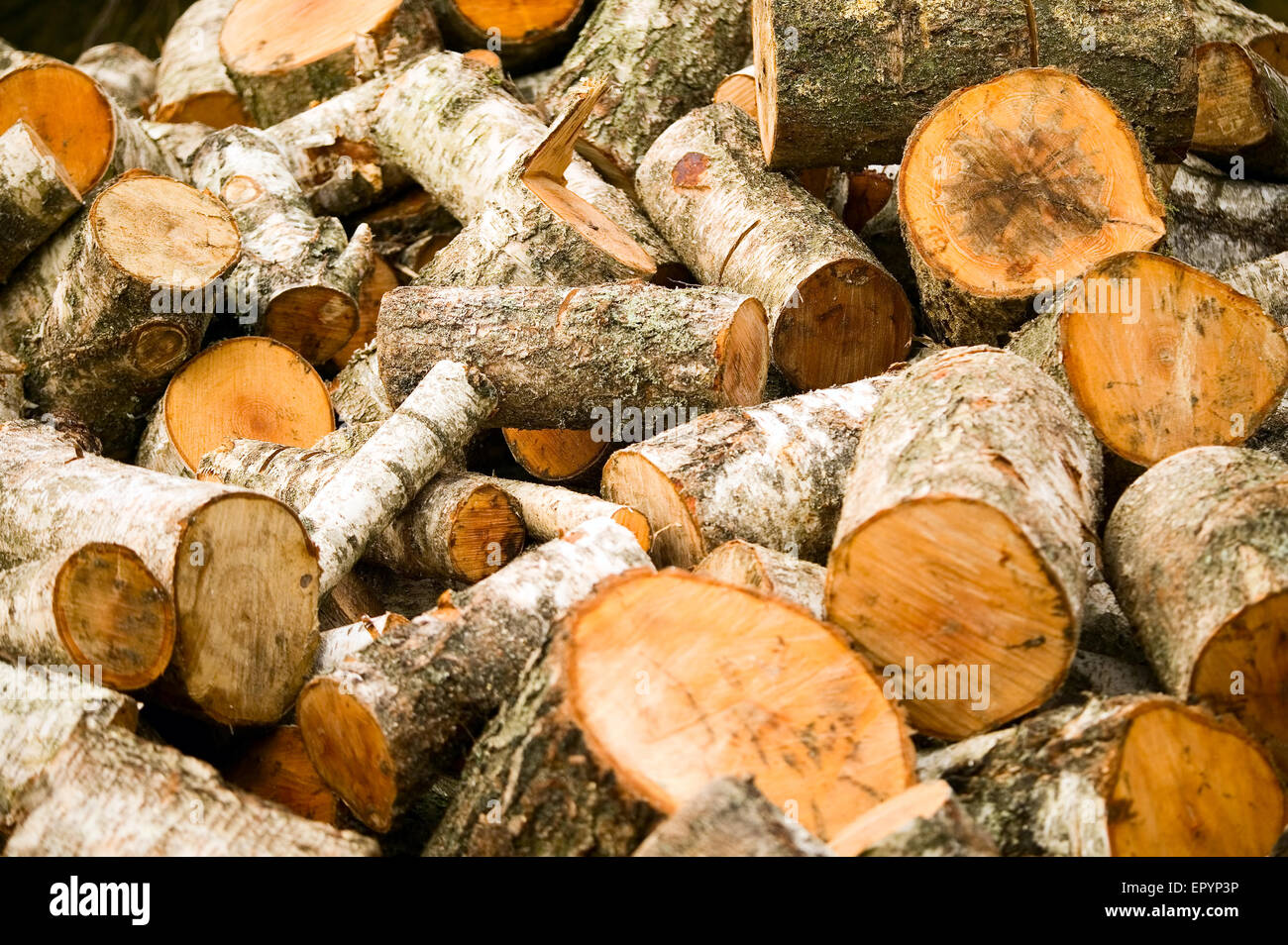 Texture made from wooden cut firewood, background Stock Photo