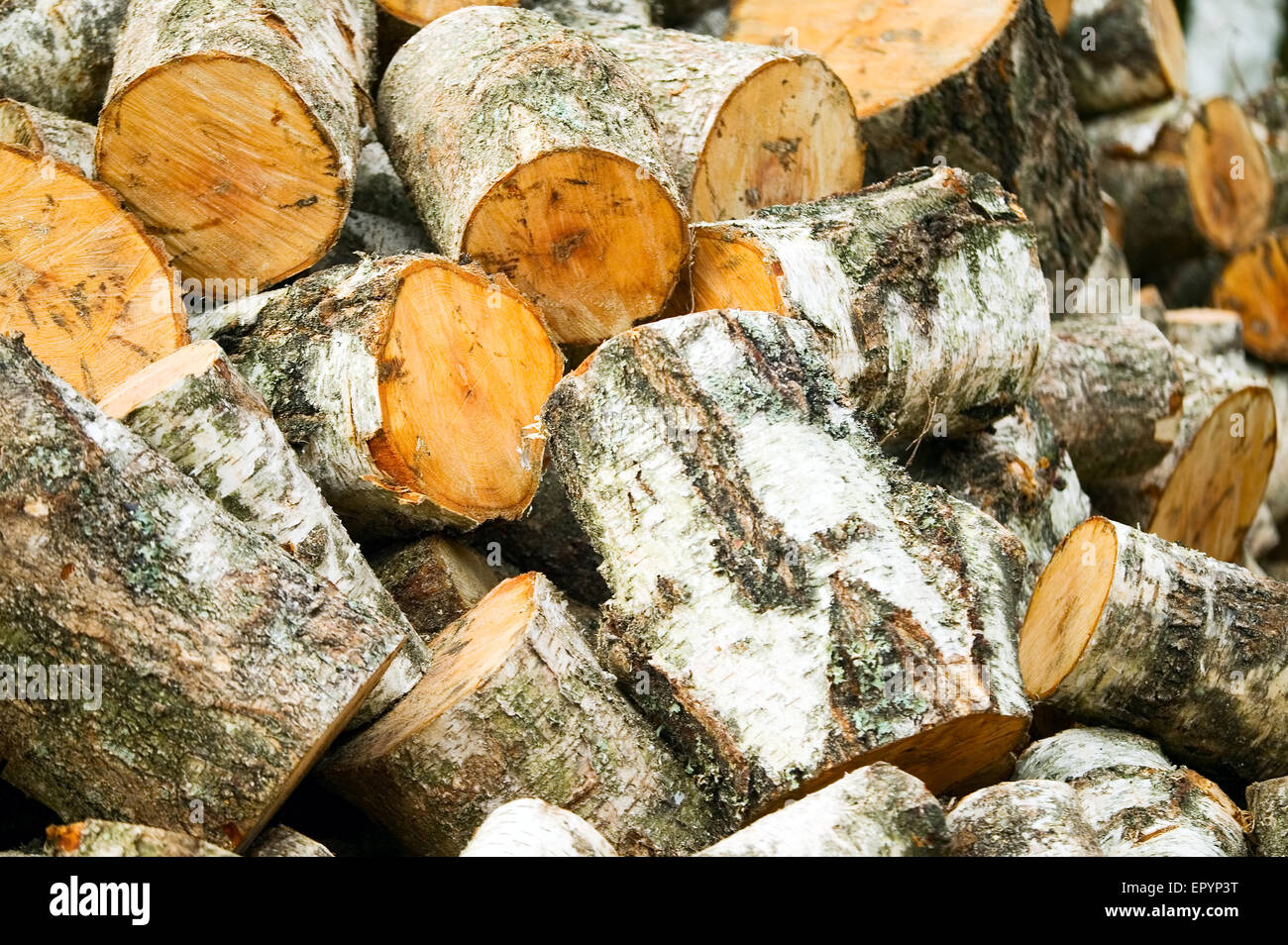 Texture made from wooden cut firewood, background Stock Photo