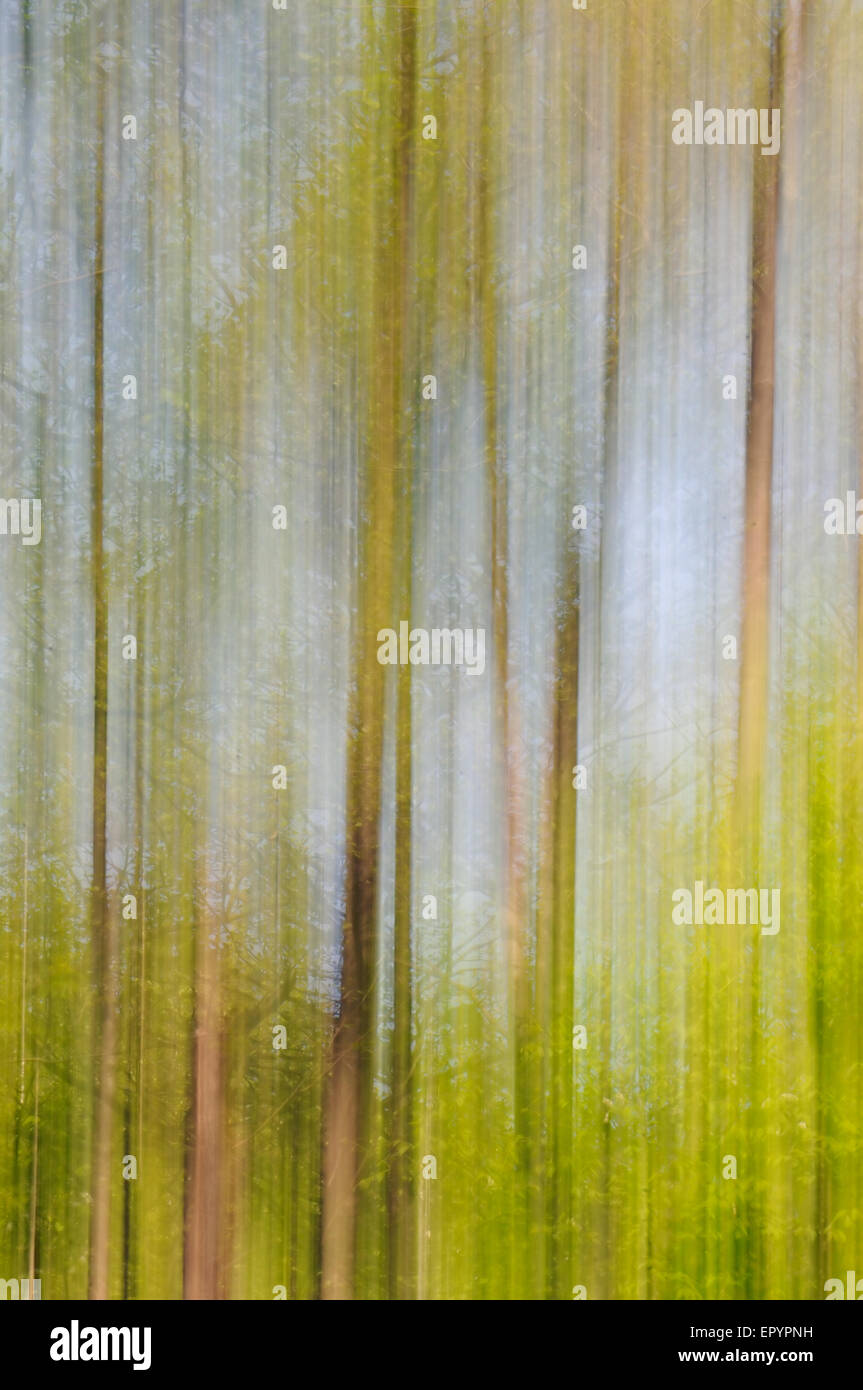 Moving trees background hi-res stock photography and images - Alamy