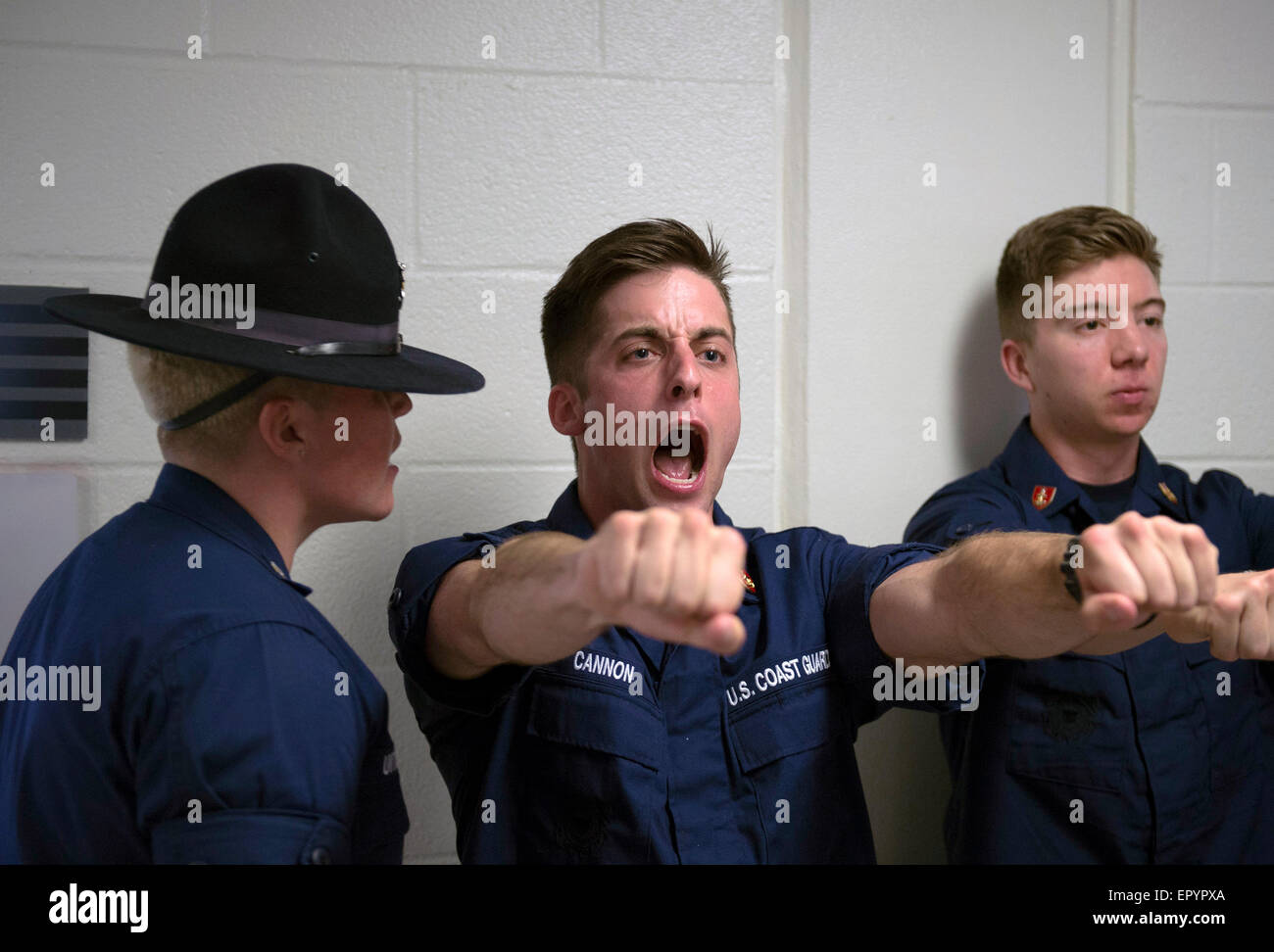 Screams yells recruits training hires stock photography and images Alamy