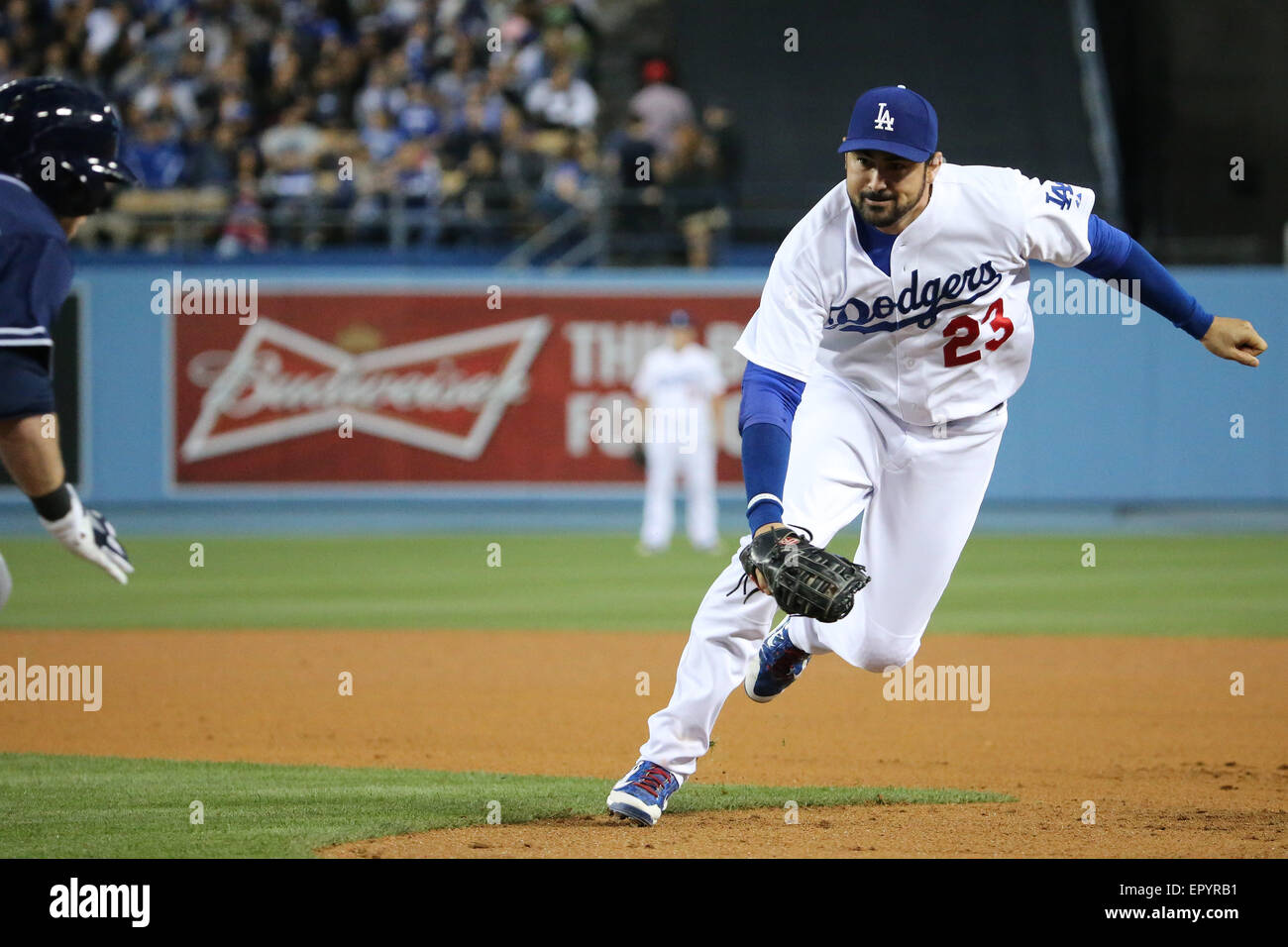 May 24, 2013 Los Angeles, CA.Los Angeles Dodgers Manager Don Mattingly  during the Major League Baseball game between the Los Angeles Dodgers and  the St. Louis Cardinals at Dodger Stadium..Louis Lopez/CSM/Alamy Live