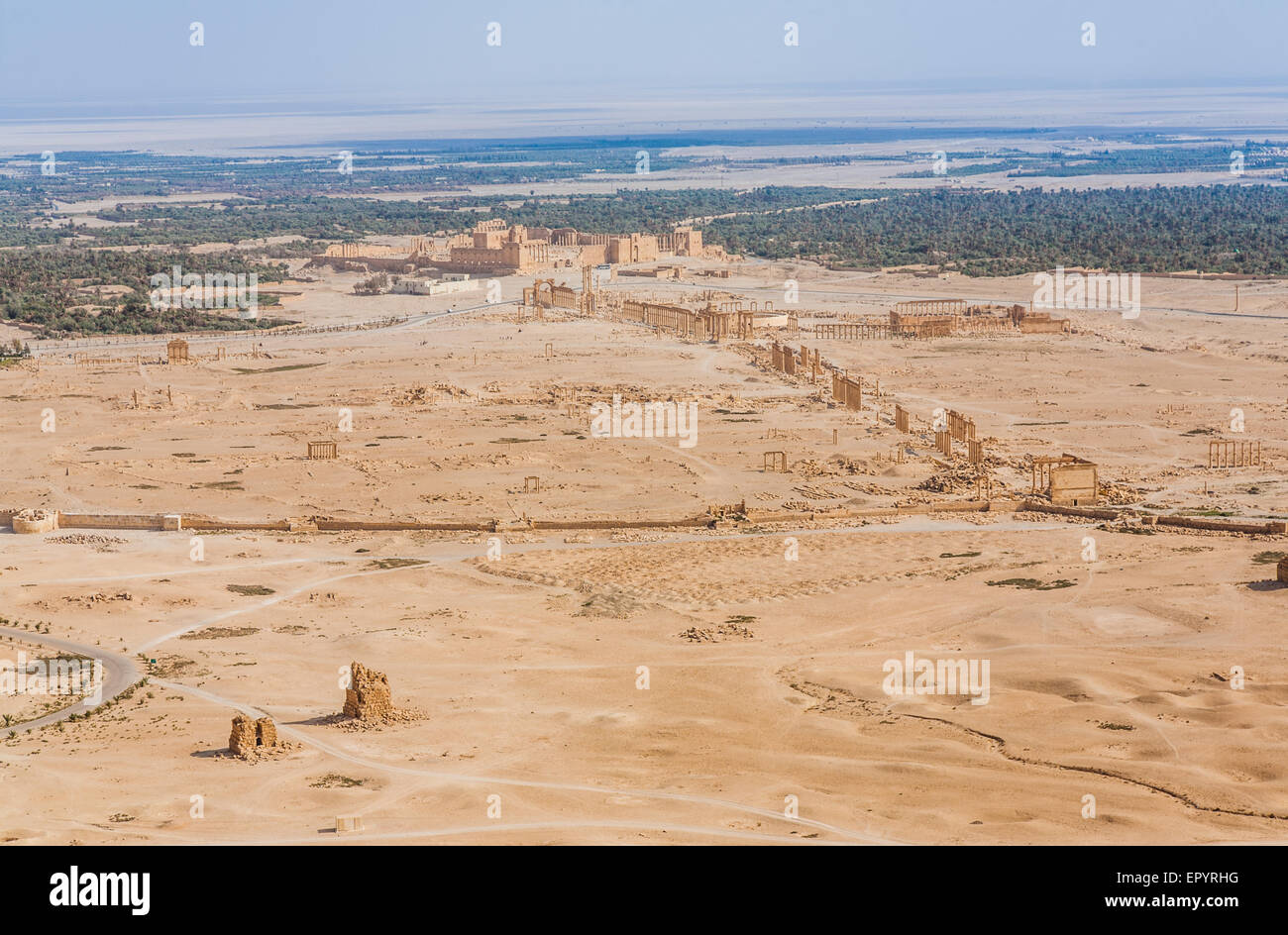 Palmyra as seen from Qal'at Ibn Maan Stock Photo