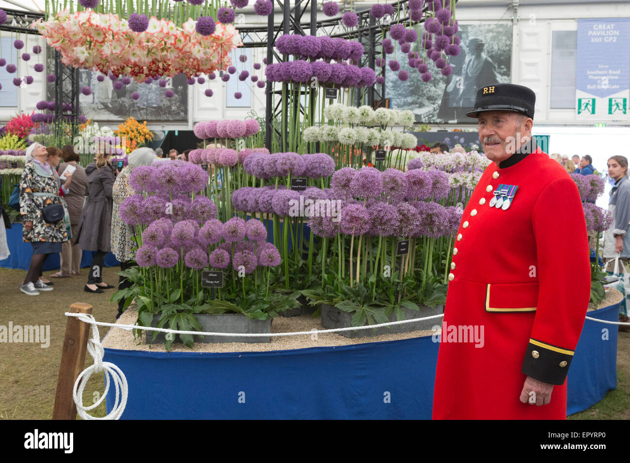 London, UK. 23 May 2015. The 2015 RHS Chelsea Flower Show draws to a close with a traditional sell-off of flowers from 4pm onwards. Credit:  Nick Savage/Alamy Live News Stock Photo