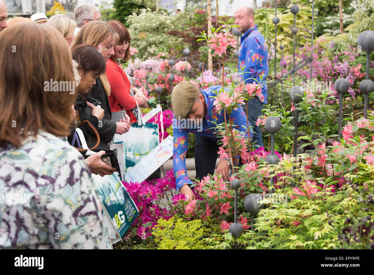 London, UK. 23 May 2015. Selloff of plants at Hillier Nurseries. The