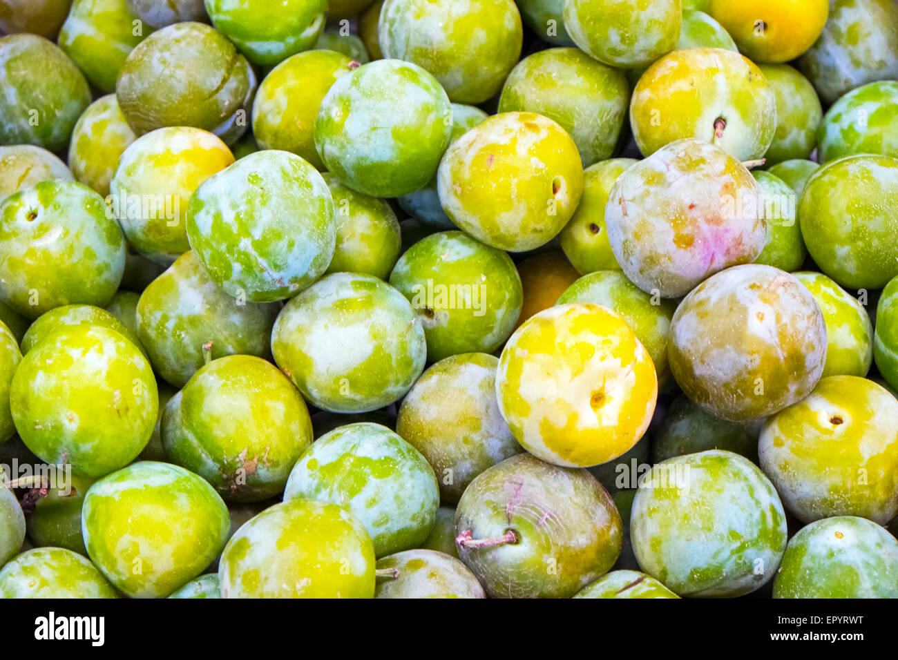 Greengage plums for sale at a market Stock Photo Alamy