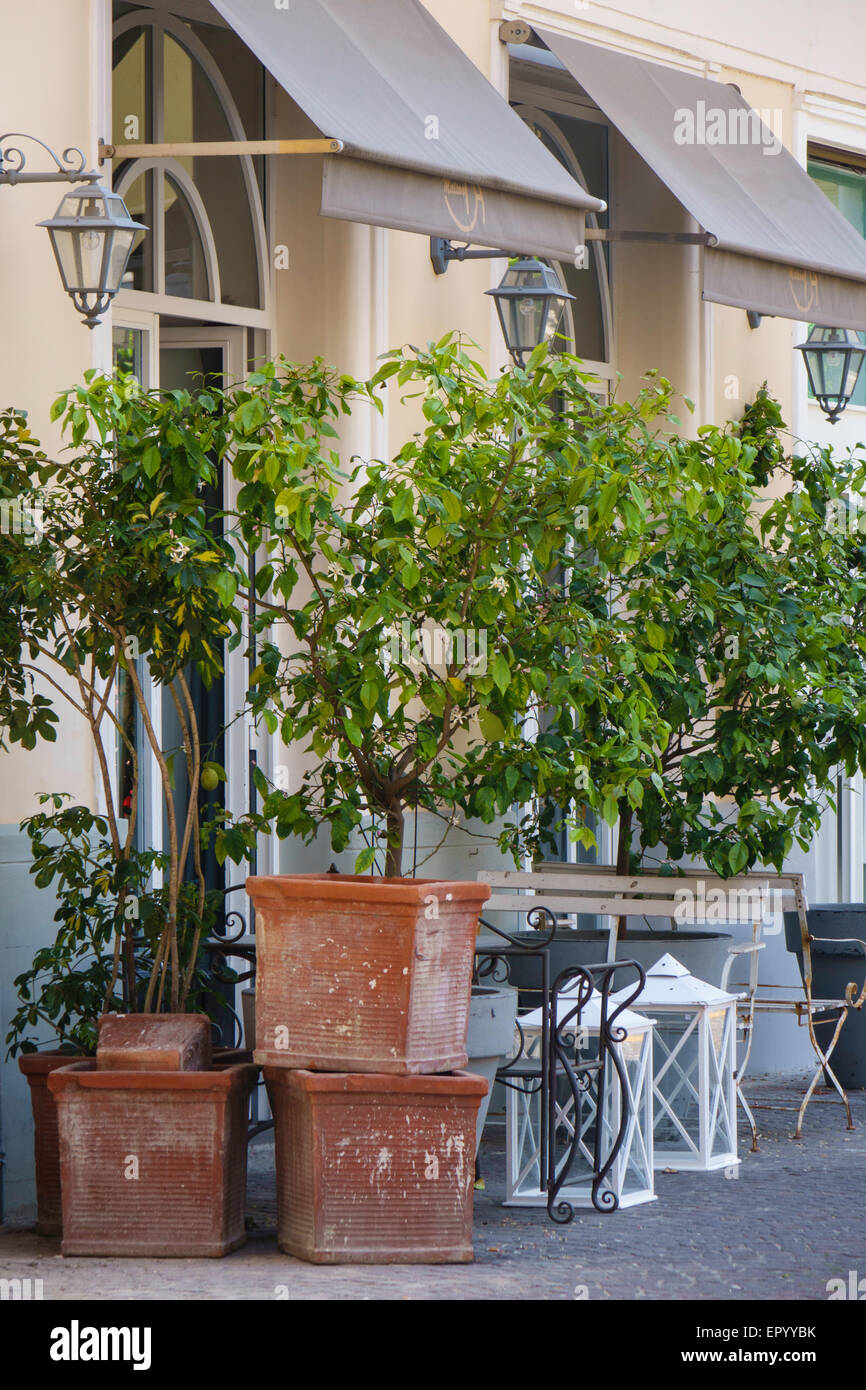 Plant and Pots outside a shop Stock Photo Alamy
