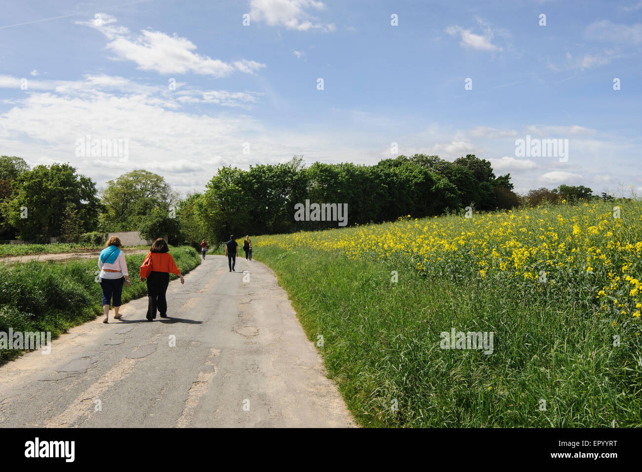 Road to and from the cemetery where Vincent van Gogh is buried, Auvers sur Oise, Ile de France, France Stock Photo