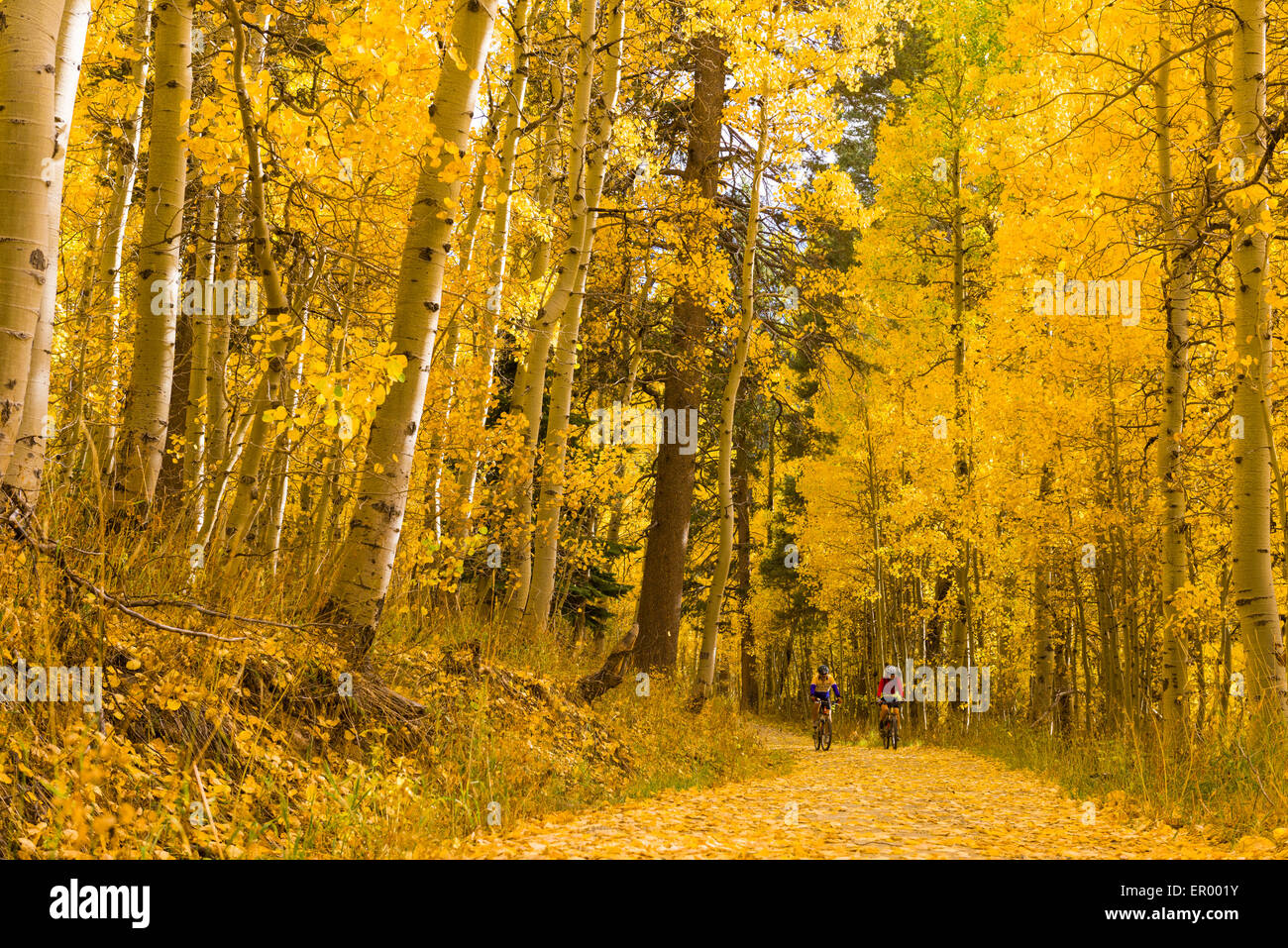 Mountain bikers on the Flume Trail near Marlette Lake with beautiful