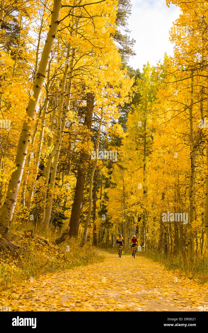 Mountain bikers on the Flume Trail near Marlette Lake with beautiful