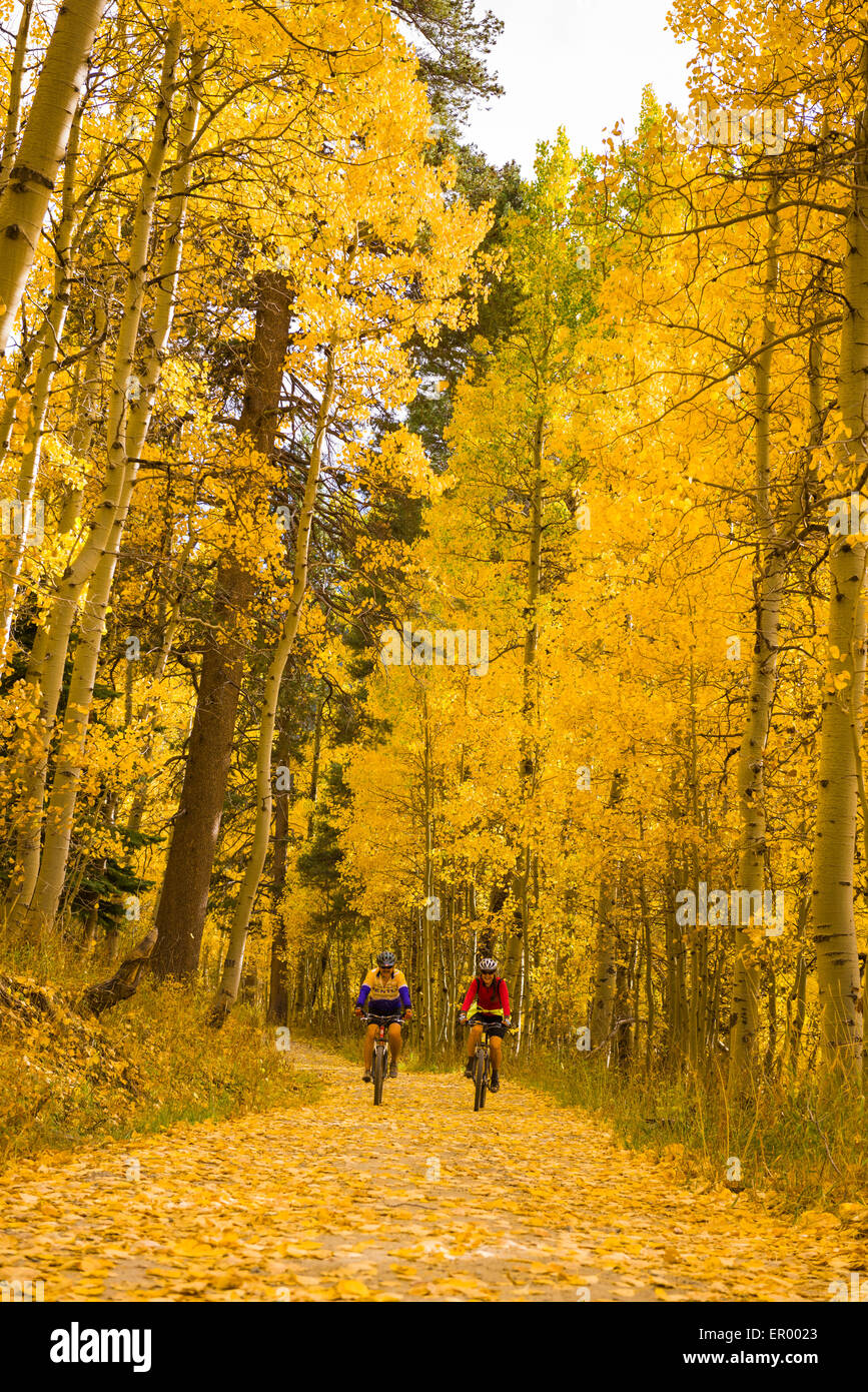 Mountain bikers on the Flume Trail near Marlette Lake with beautiful