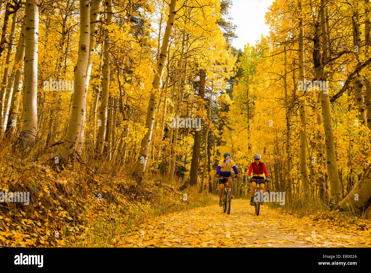 Mountain bikers on the Flume Trail near Marlette Lake with beautiful