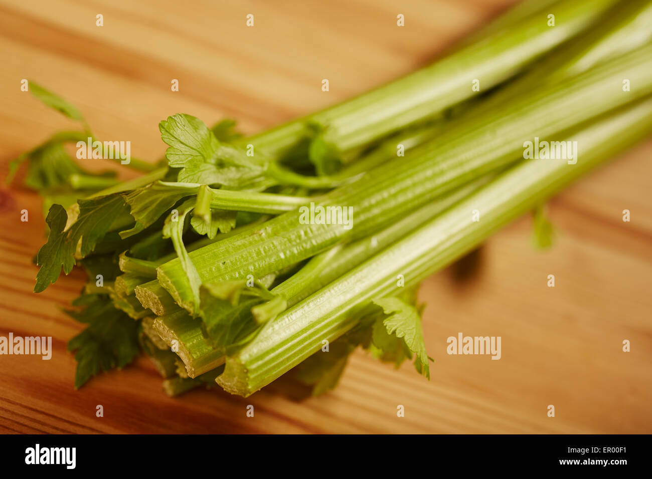 a head of American celery Stock Photo