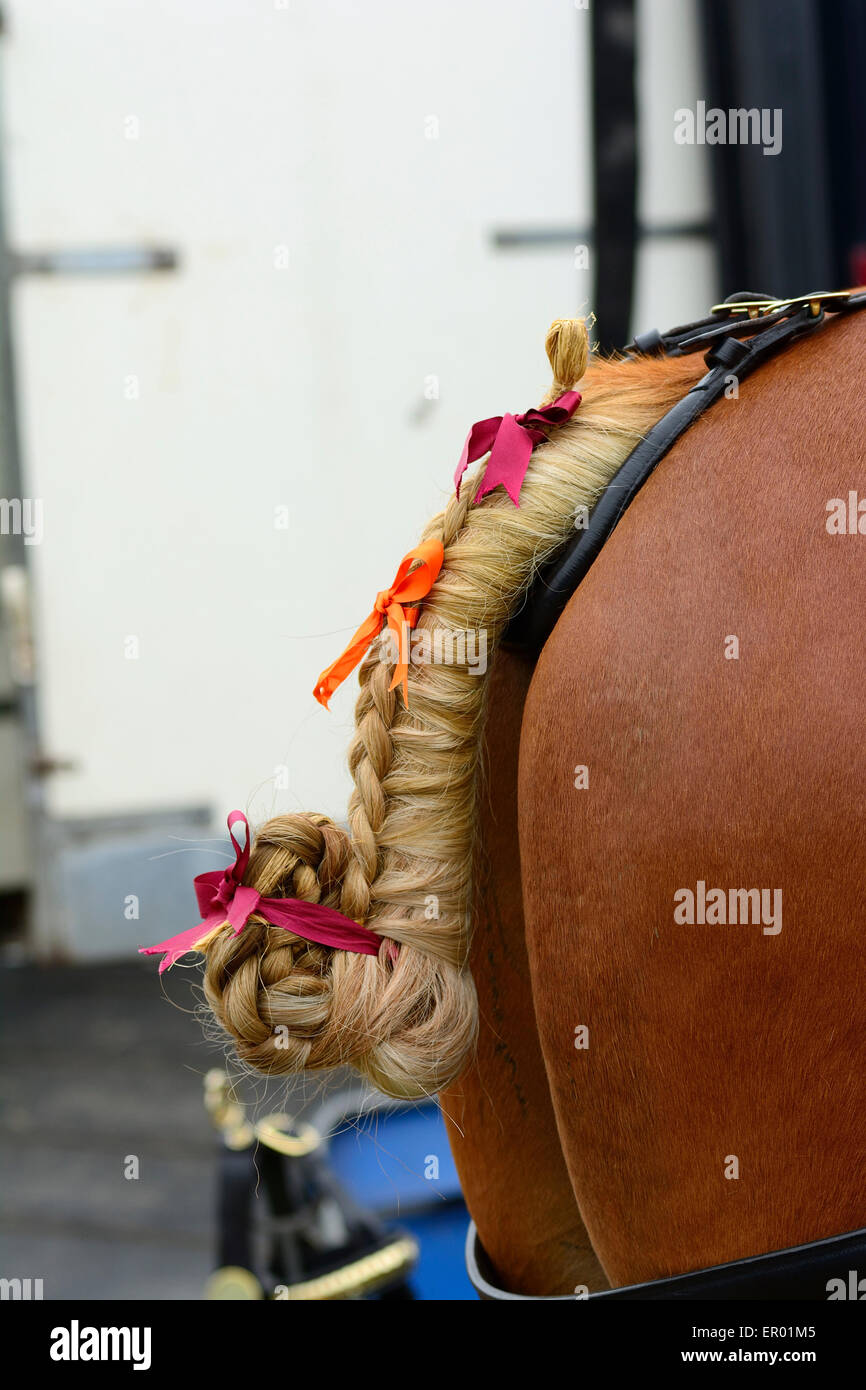 Horse tail platted with ribbons Stock Photo Alamy