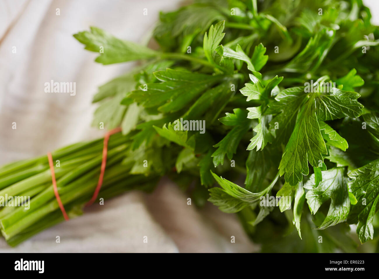 Bunch of Italian Parsley Stock Photo Alamy
