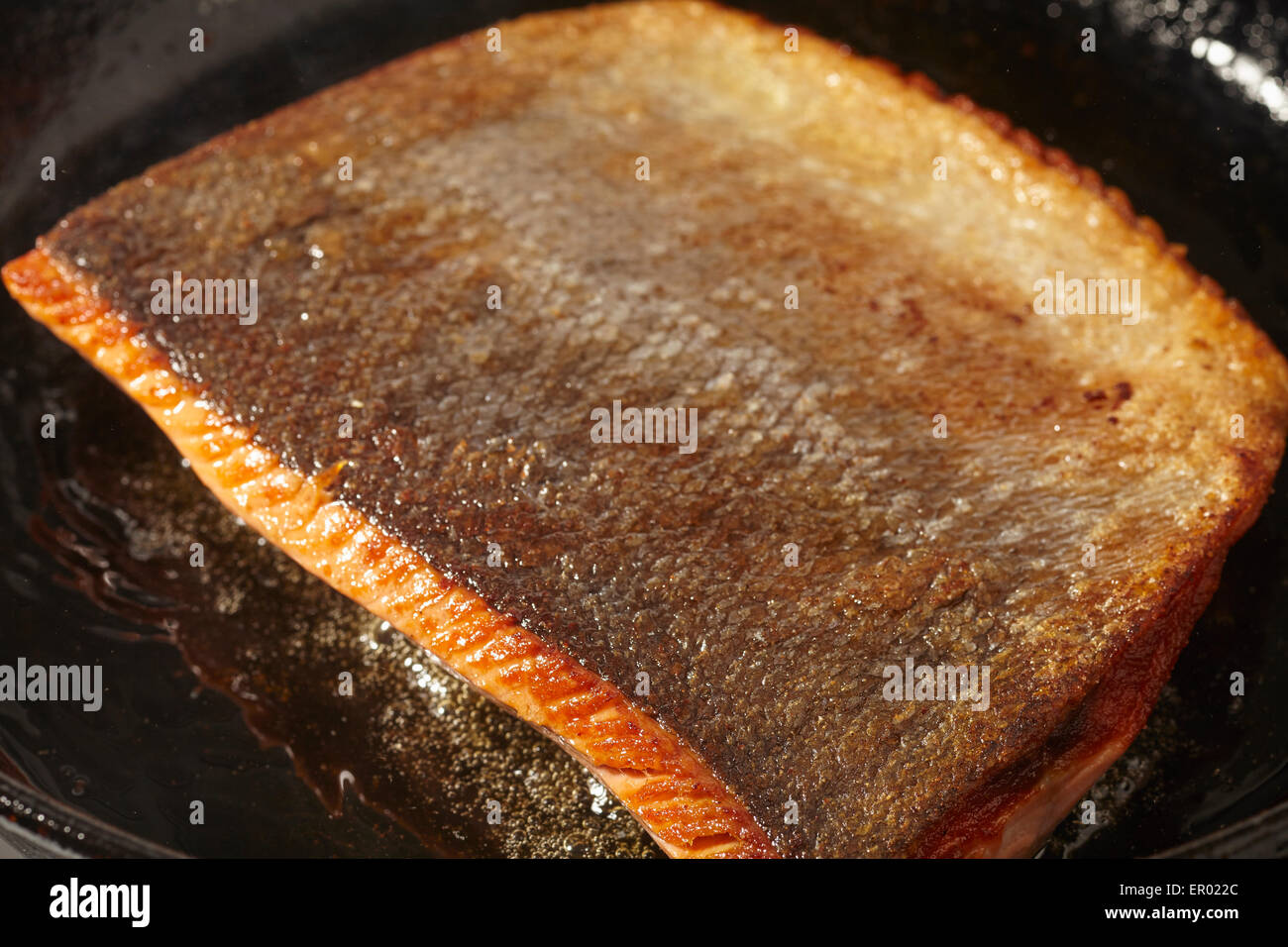 salmon fillet browning in a cast iron skillet Stock Photo Alamy