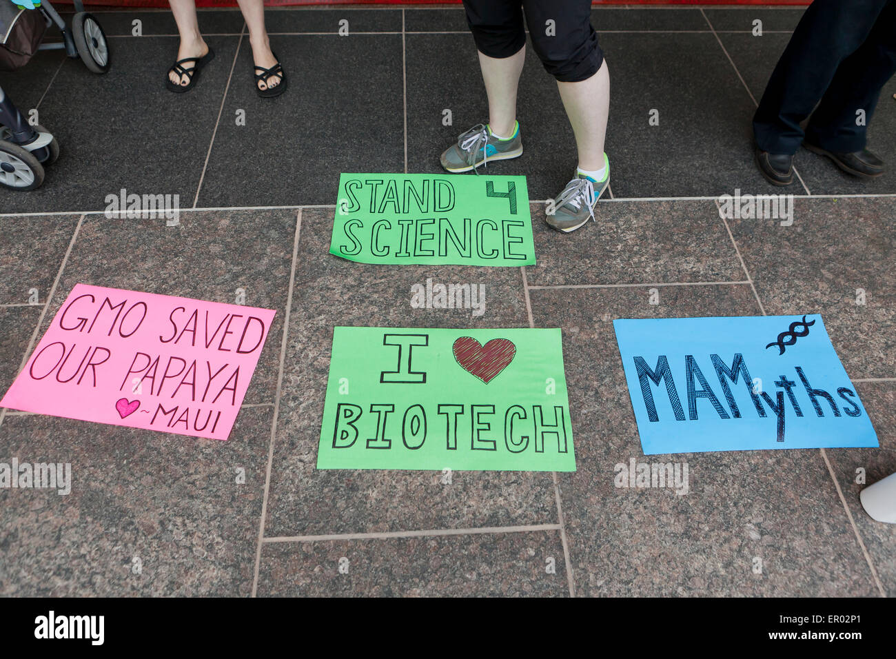 Saturday, May 23, 2015, Washington, DC USA:  Hundreds of food safety activists marched from the White House to Monsanto's  Washington office chanting and protesting against GMOs and pesticides, as part of an international revolt against Monsanto.  Monsanto employees responded by holding  up signs and talking with the press. Stock Photo