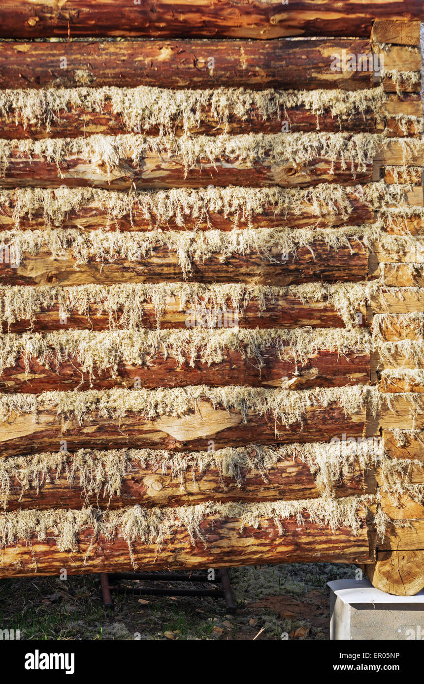 Background from log-house wall Stock Photo - Alamy