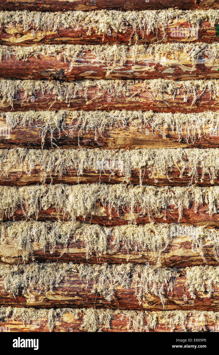 Background from log-house wall Stock Photo - Alamy
