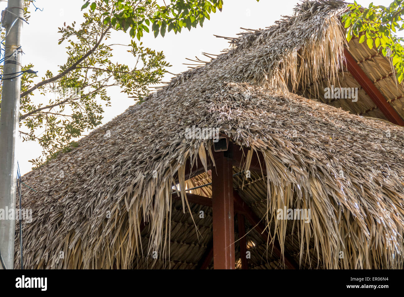 Roof of thatched hut in Guatemala Stock Photo